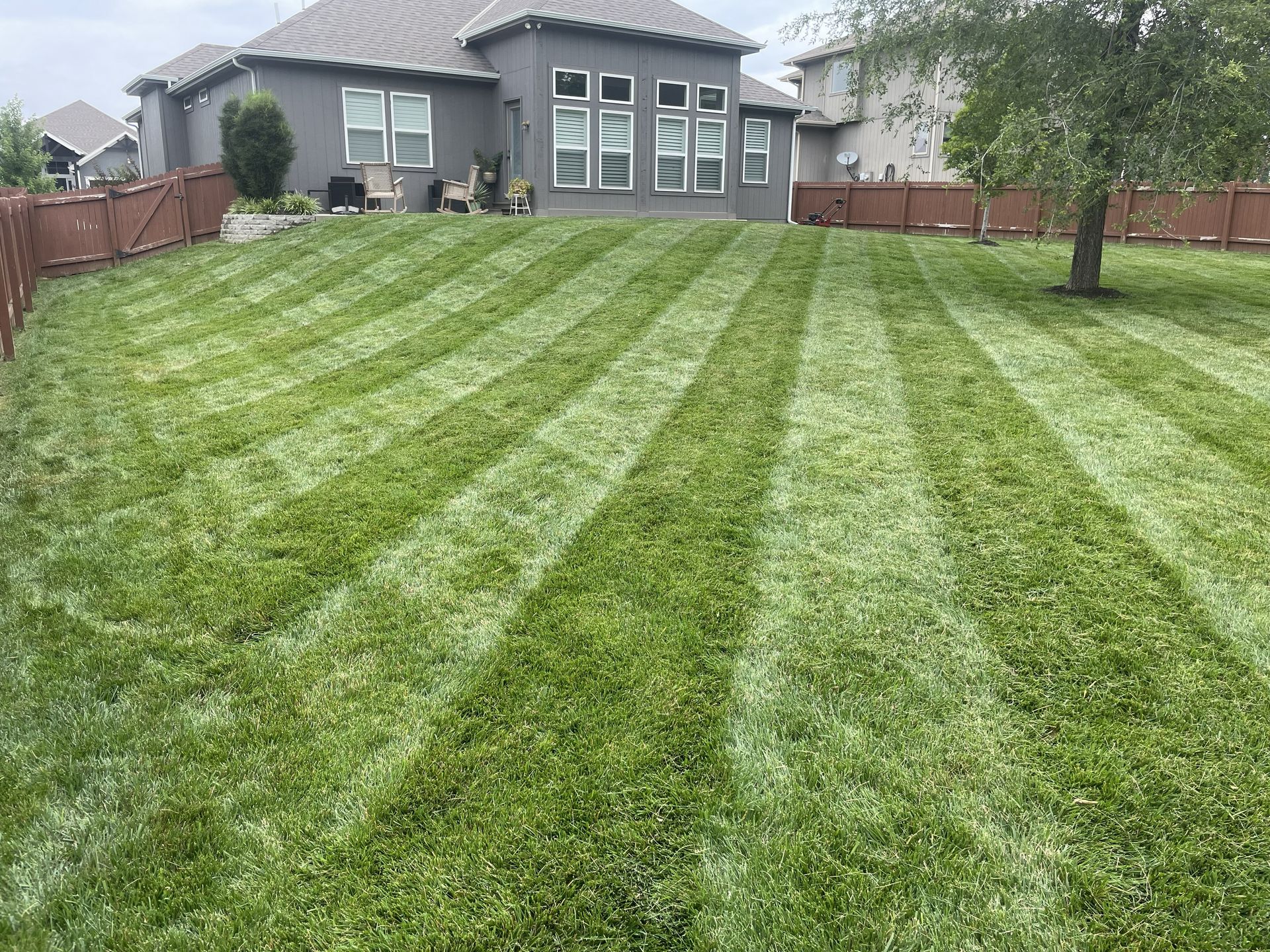 Freshly mowed green lawn with striped patterns in a suburban backyard behind a gray house