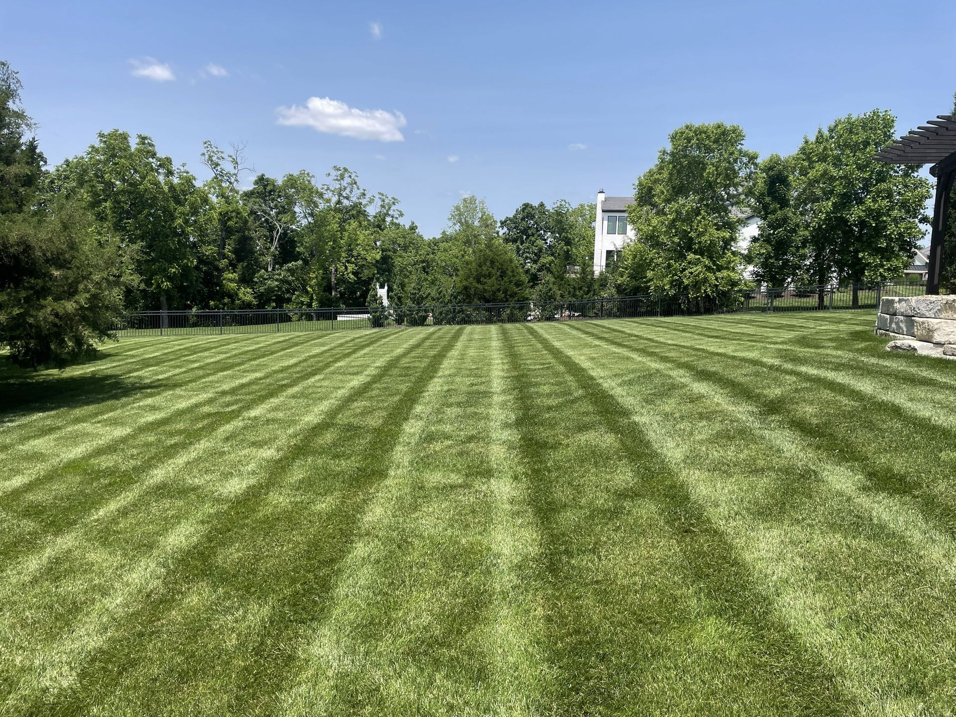Striped green lawn in a sunny park with trees and a blue sky