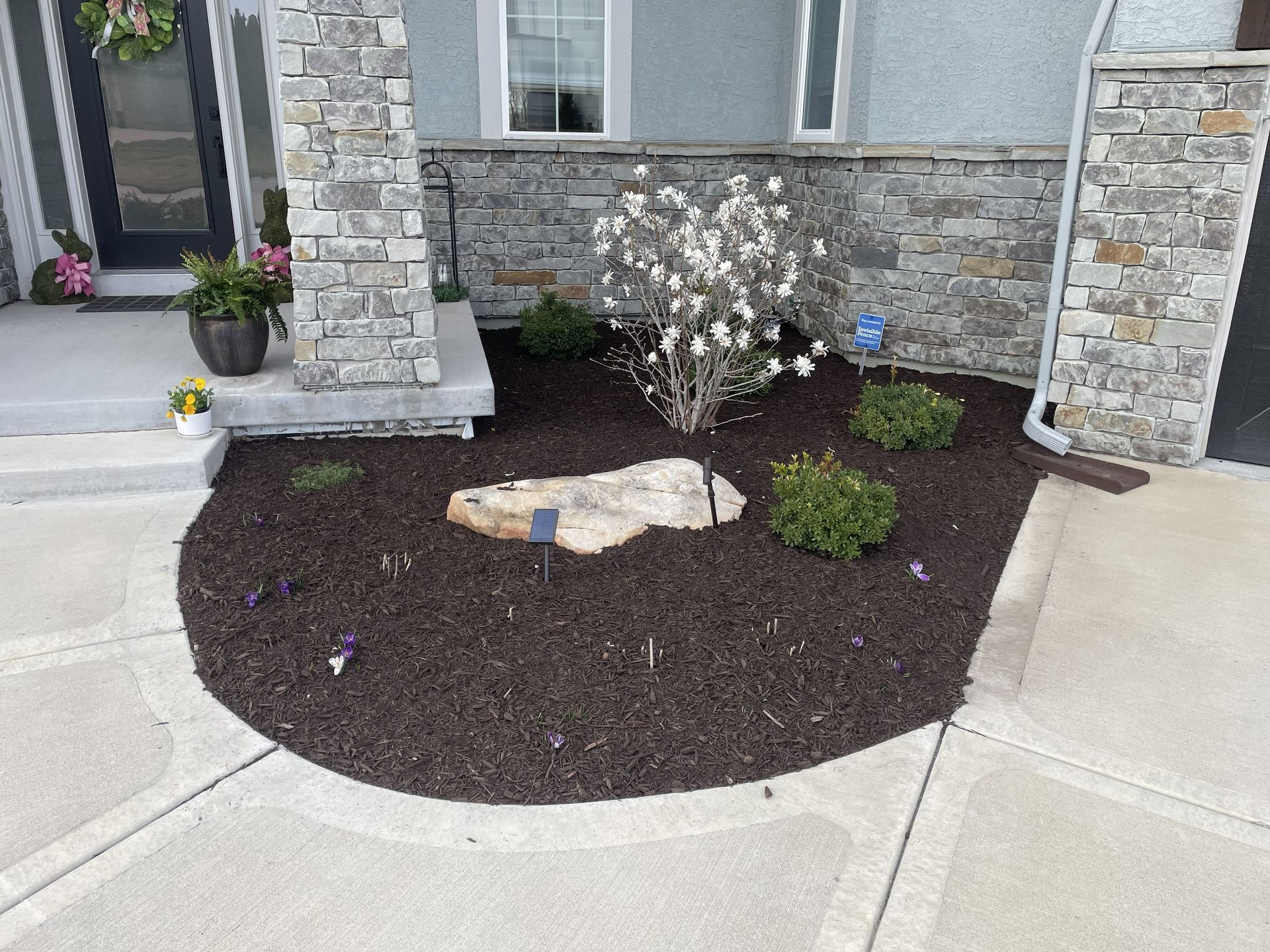 Front yard landscape bed with dark mulch, rocks, shrubs, and stone house facade beside a concrete walkway