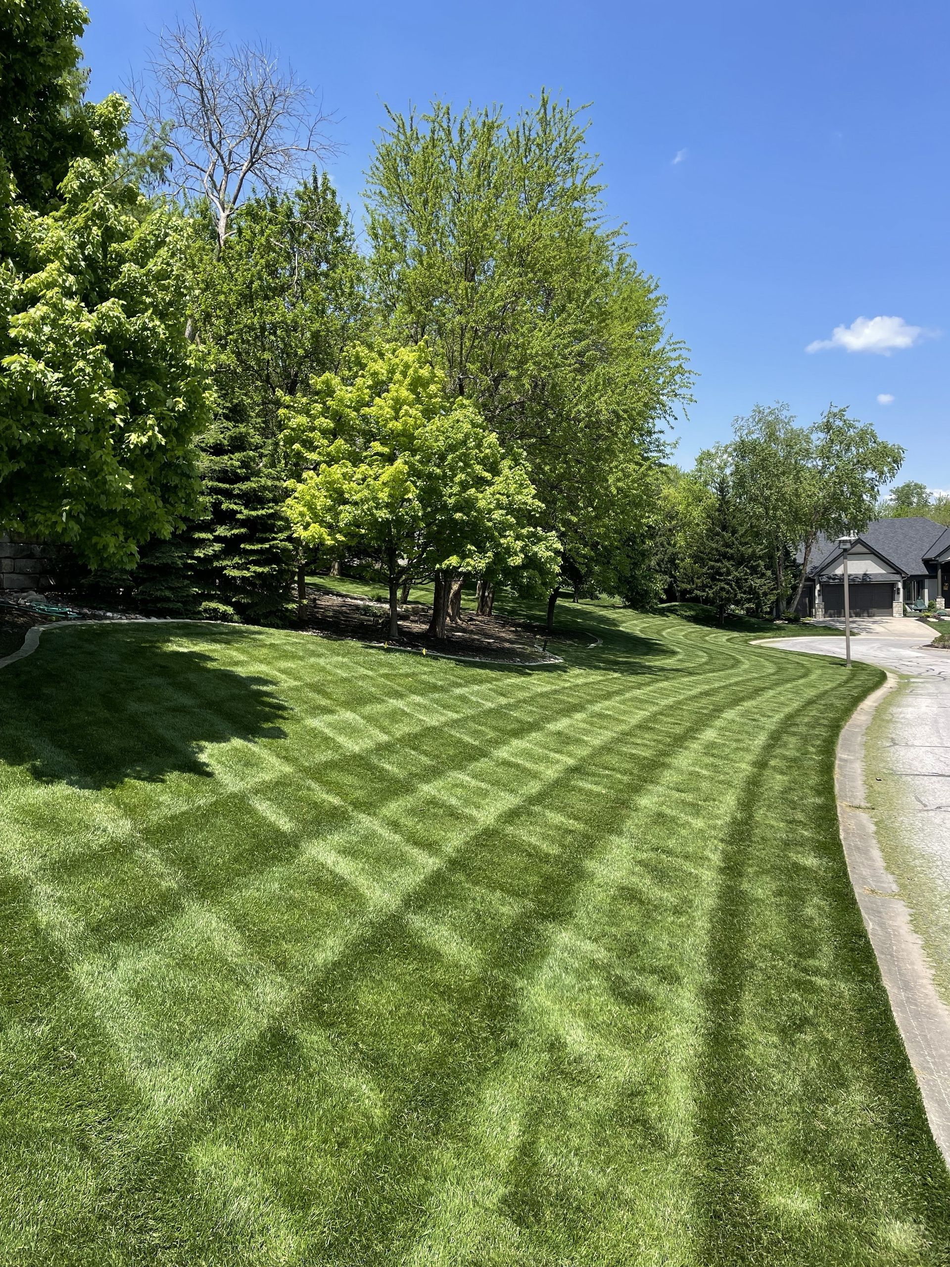 Sunlit lawn with striped mowing patterns beside trees and a curved driveway under a blue sky