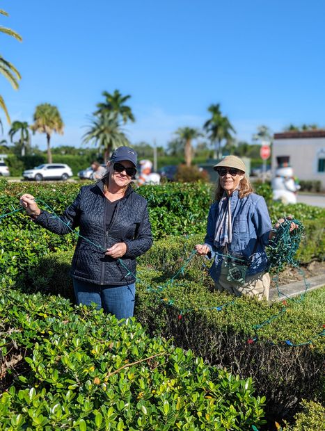Two people standing in a hedge maze on a sunny day, with palm trees and cars in the background.