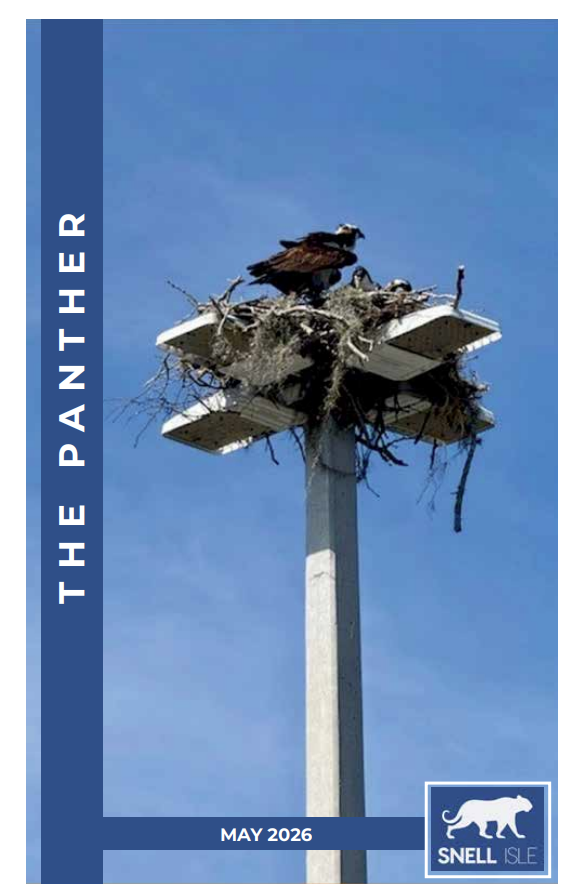 Peregrine falcon nest atop a tall concrete tower against a blue sky, with