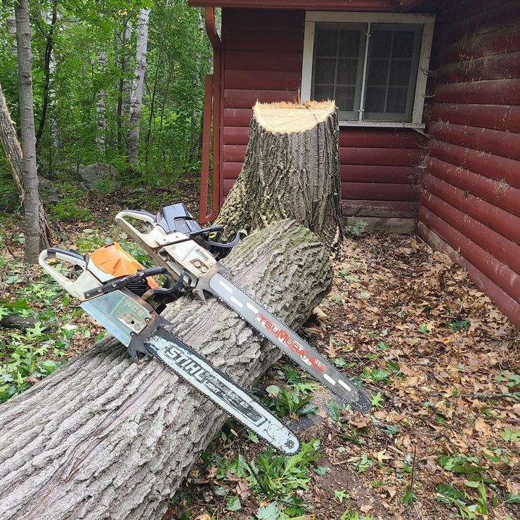 Chainsaw on a large fallen tree beside a red cabin in a wooded yard