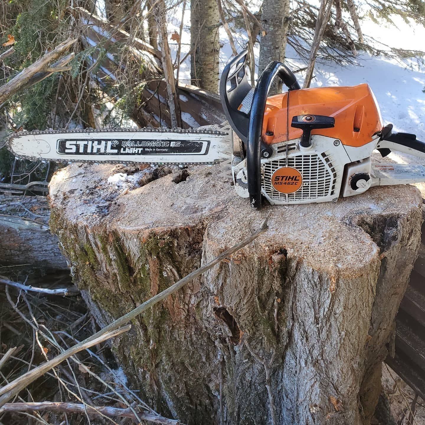STIHL chainsaw resting on a tree stump in a snowy wooded area
