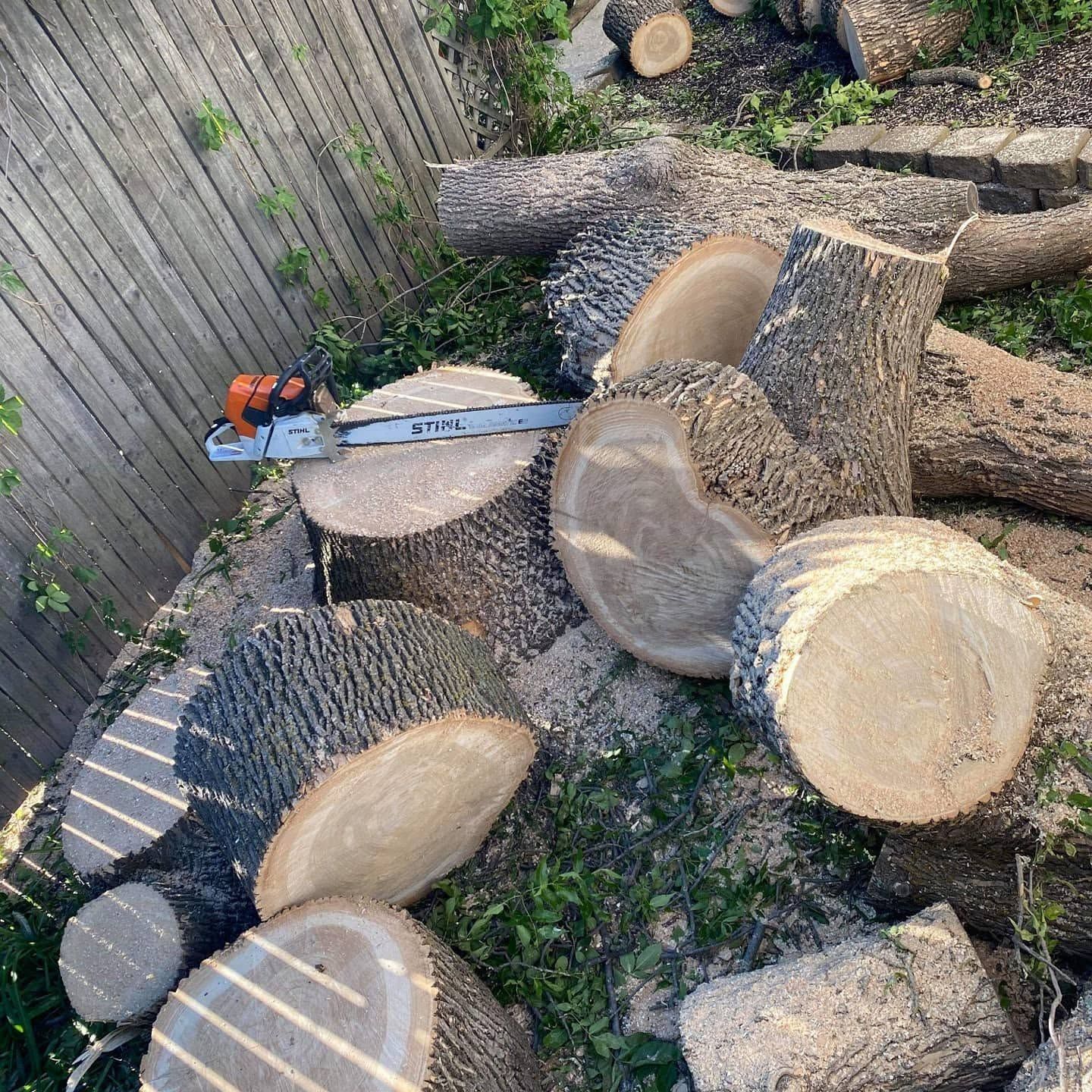 Chainsaw resting on a pile of freshly cut logs in a yard beside a wooden fence.