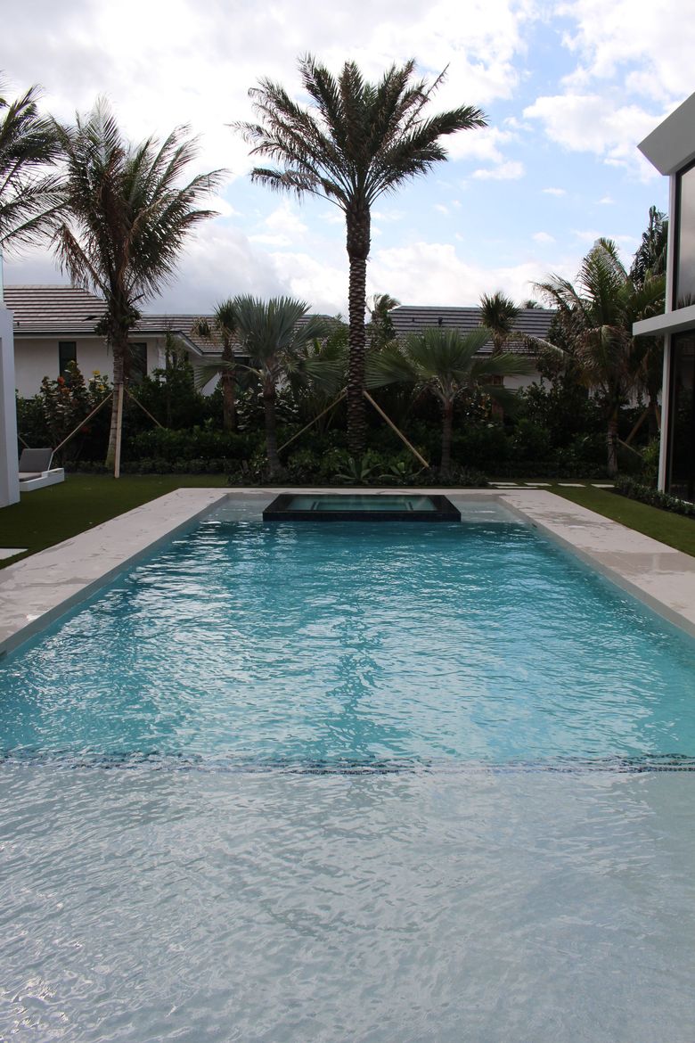 Modern backyard pool with palm trees and a partly cloudy sky