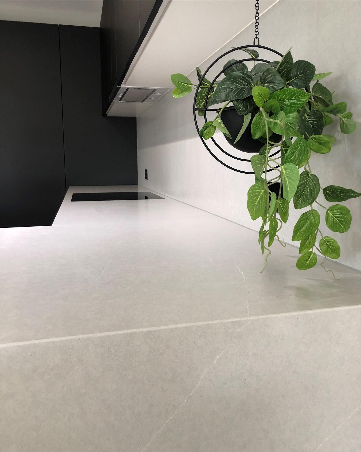 A Potted Plant is Hanging From the Ceiling in a Kitchen — Hot Rock Granite In Burleigh Heads, QLD