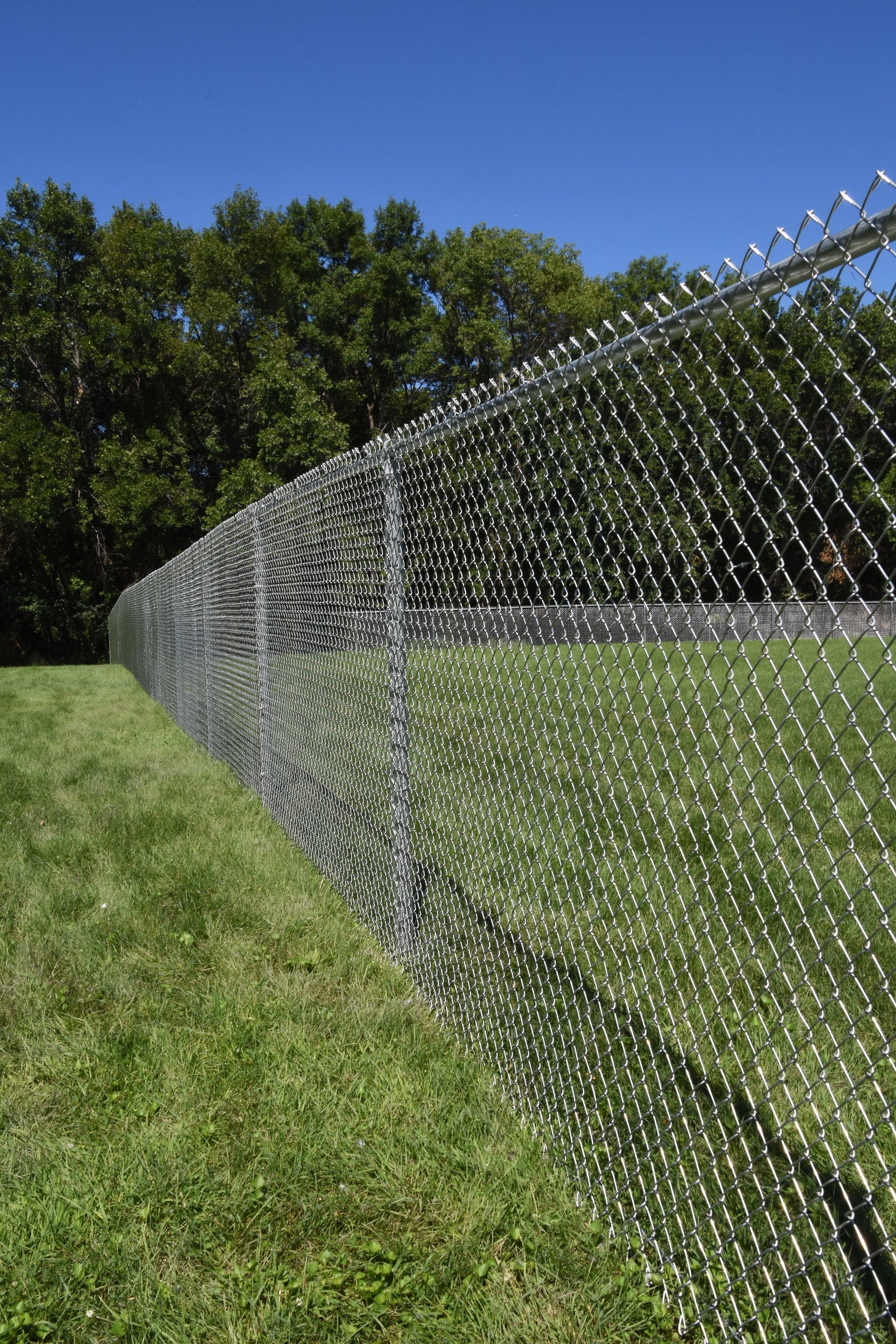 chain link fence in green grass