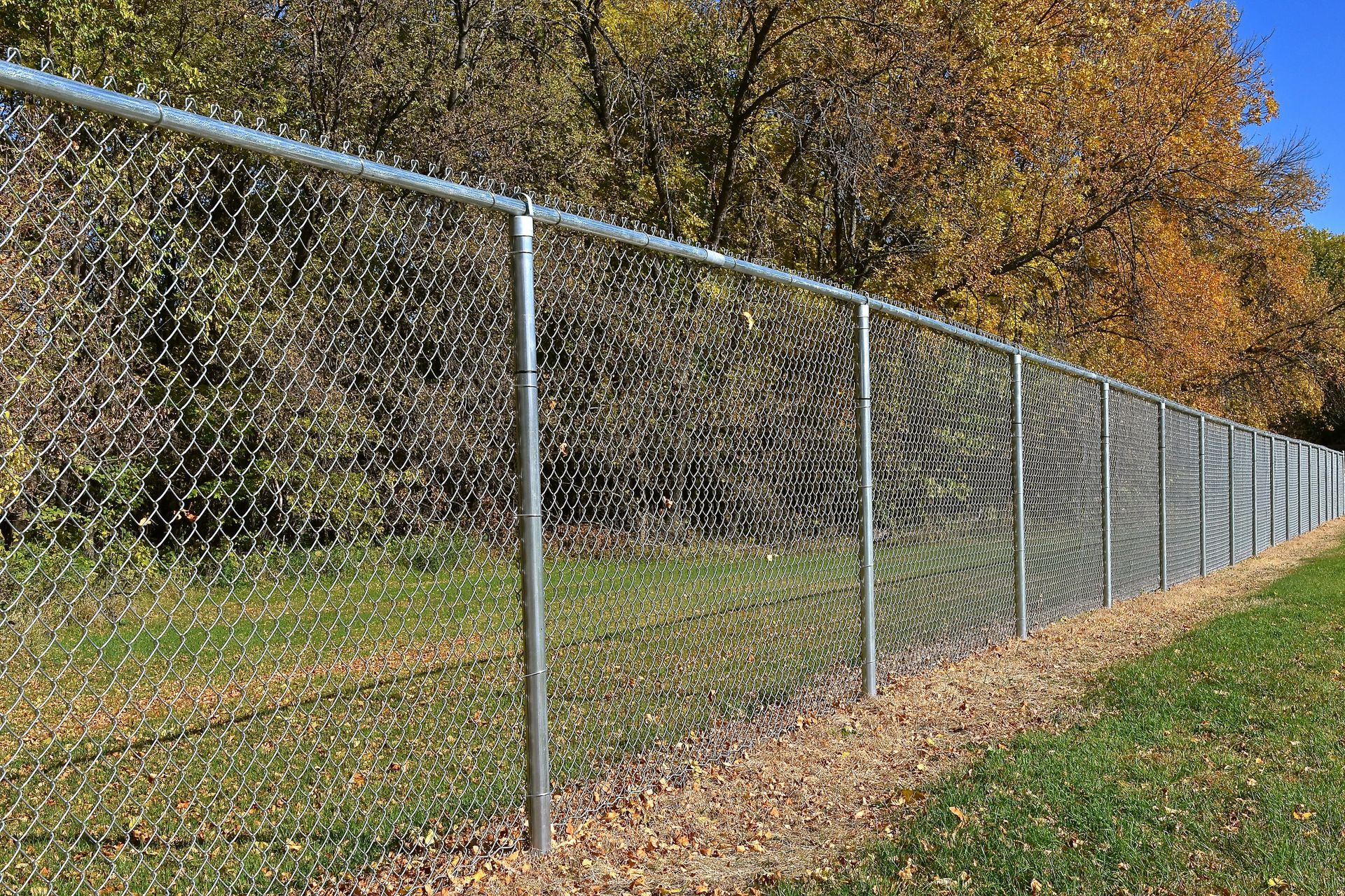 chain link fence with mulch around the base