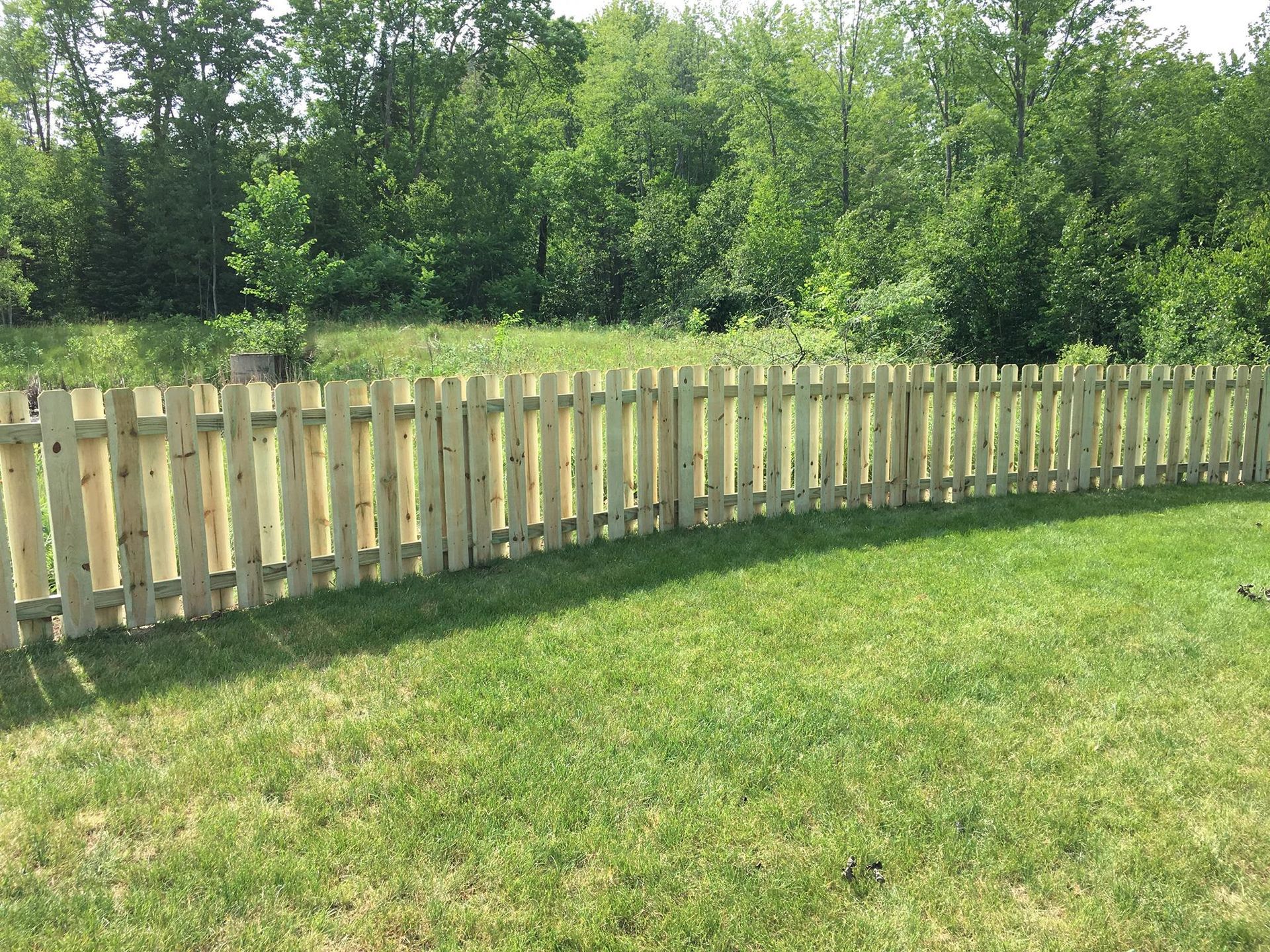 new wood fencing in backyard