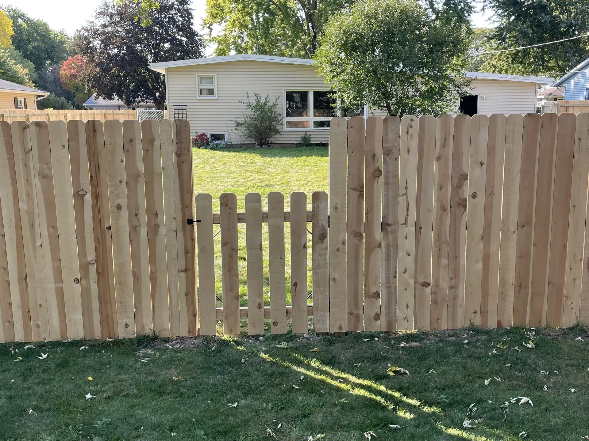 New wood privacy fence and matching gate in a Madison, WI backyard