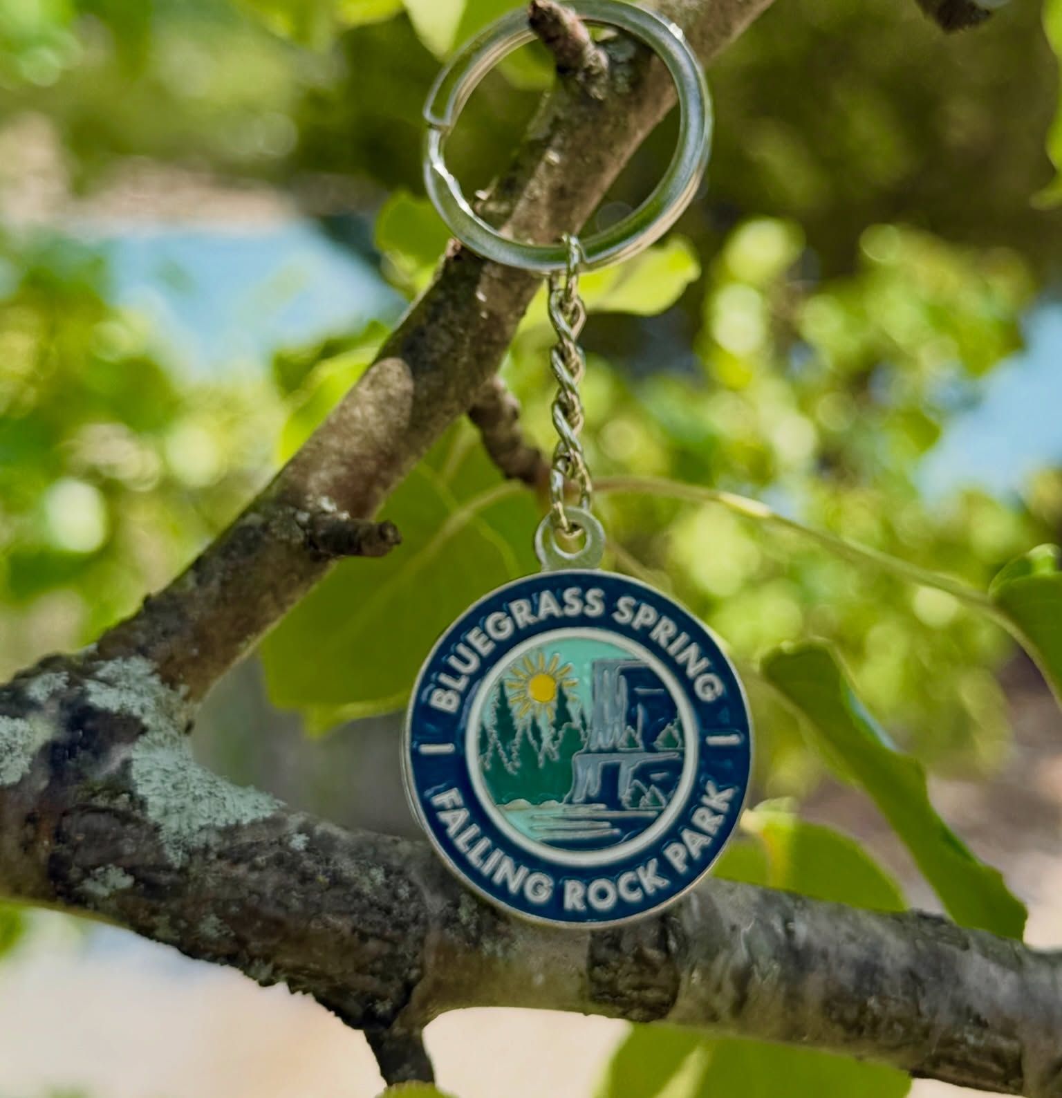 Bluegrass Spring Walking Rock Park keychain hanging from a tree branch outdoors.