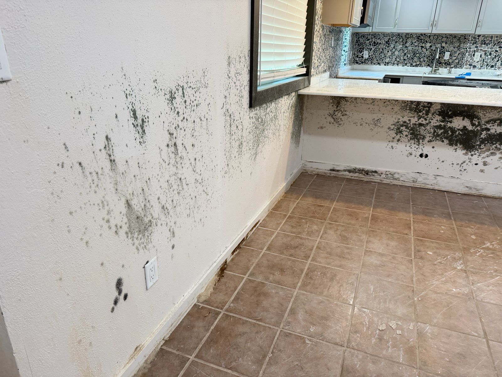 Mold-damaged white walls in a tiled room with a small window and kitchen counter.