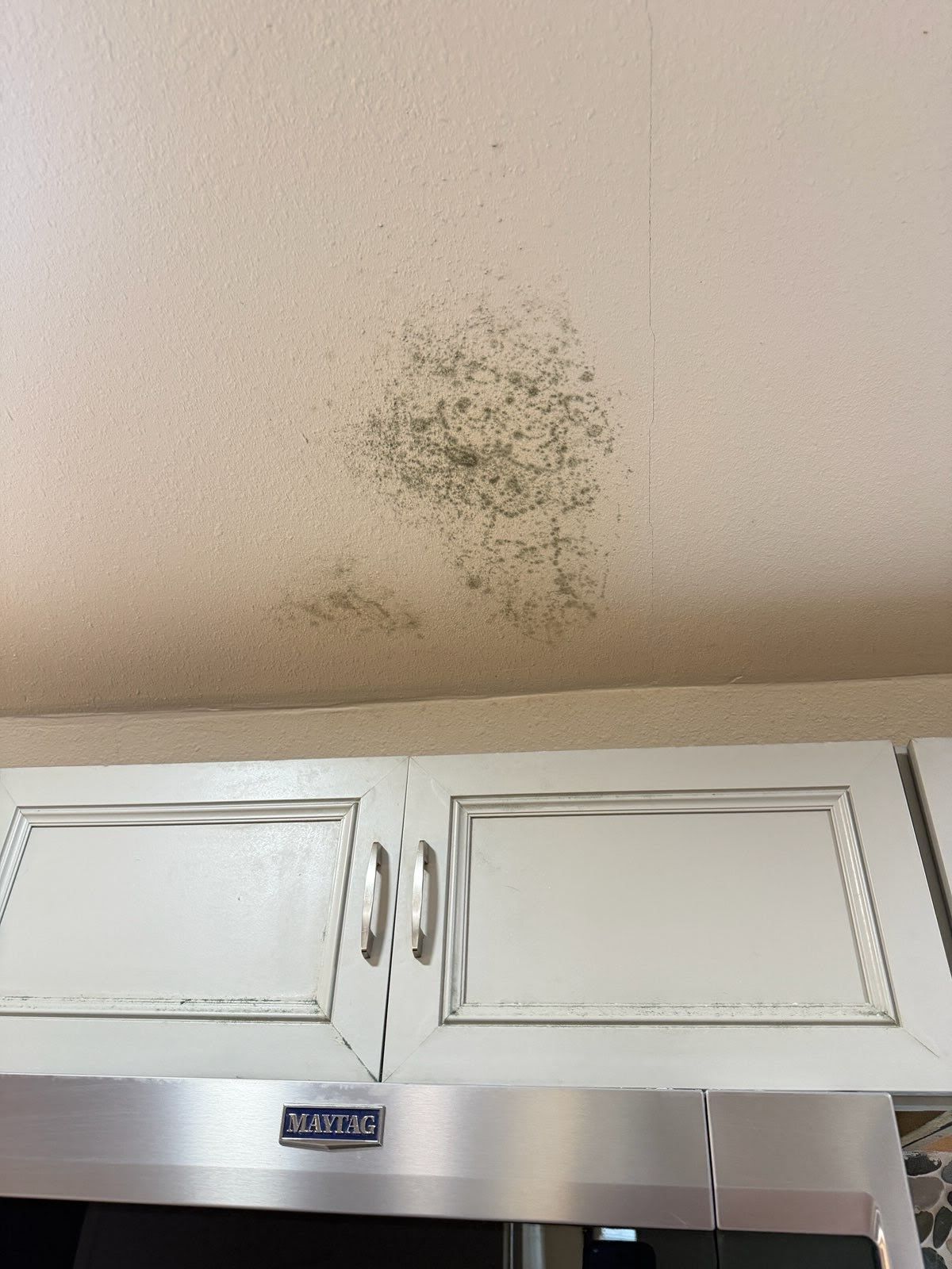 Mold spot on beige wall above white kitchen cabinets