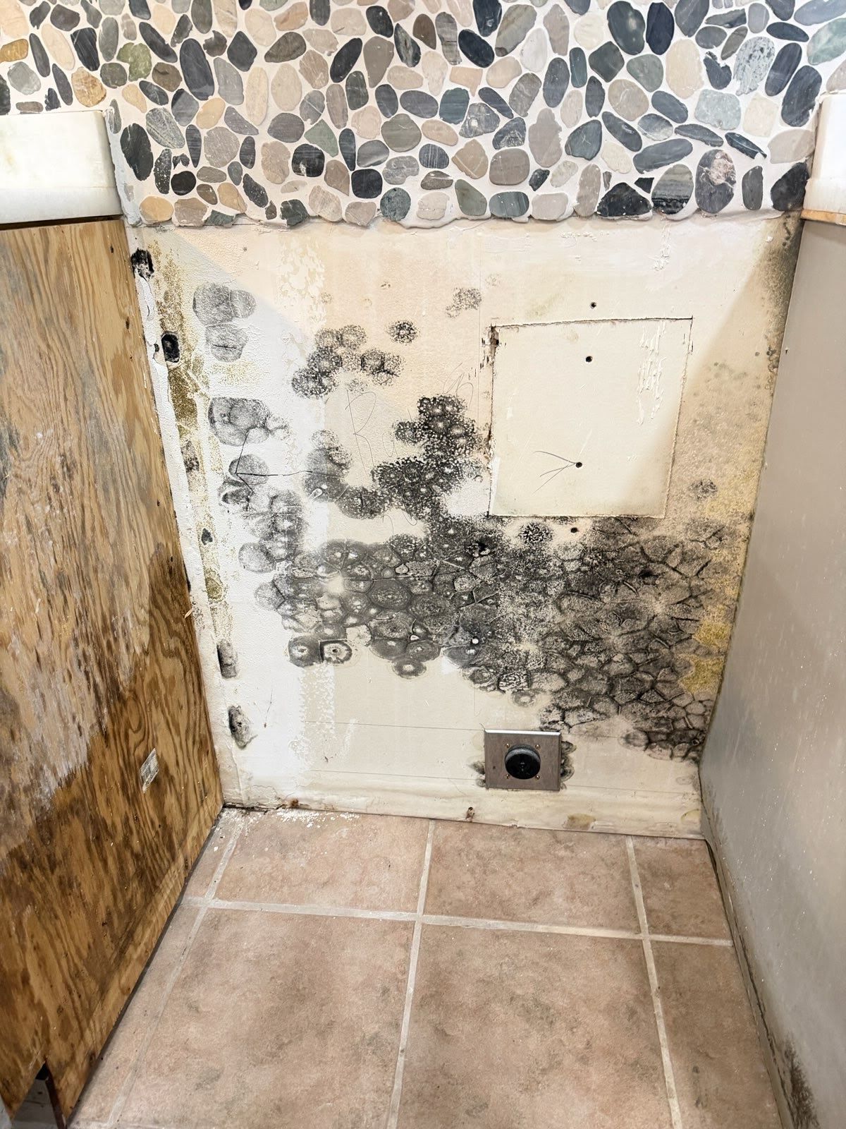 Moldy white wall above tiled floor, with stone mosaic trim and access panel near the bottom.