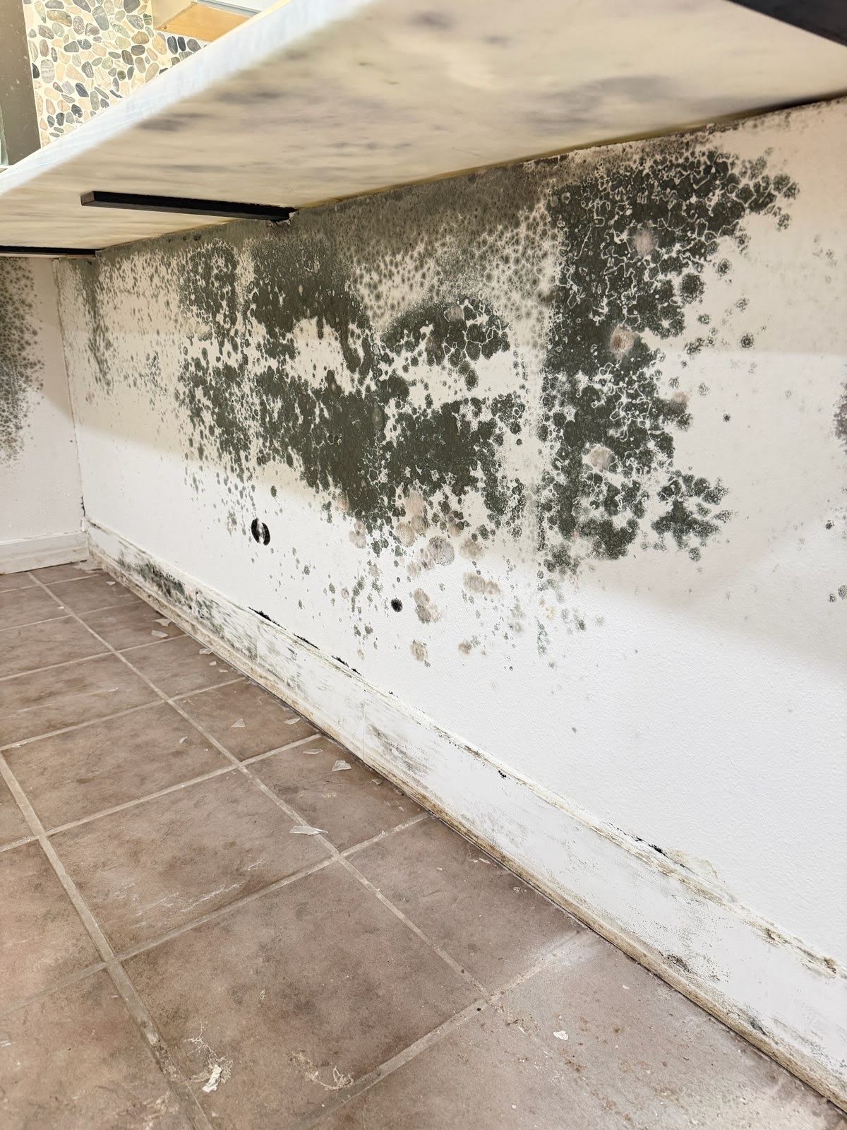Mold and water damage on a white wall beneath a shelf in a tiled room.