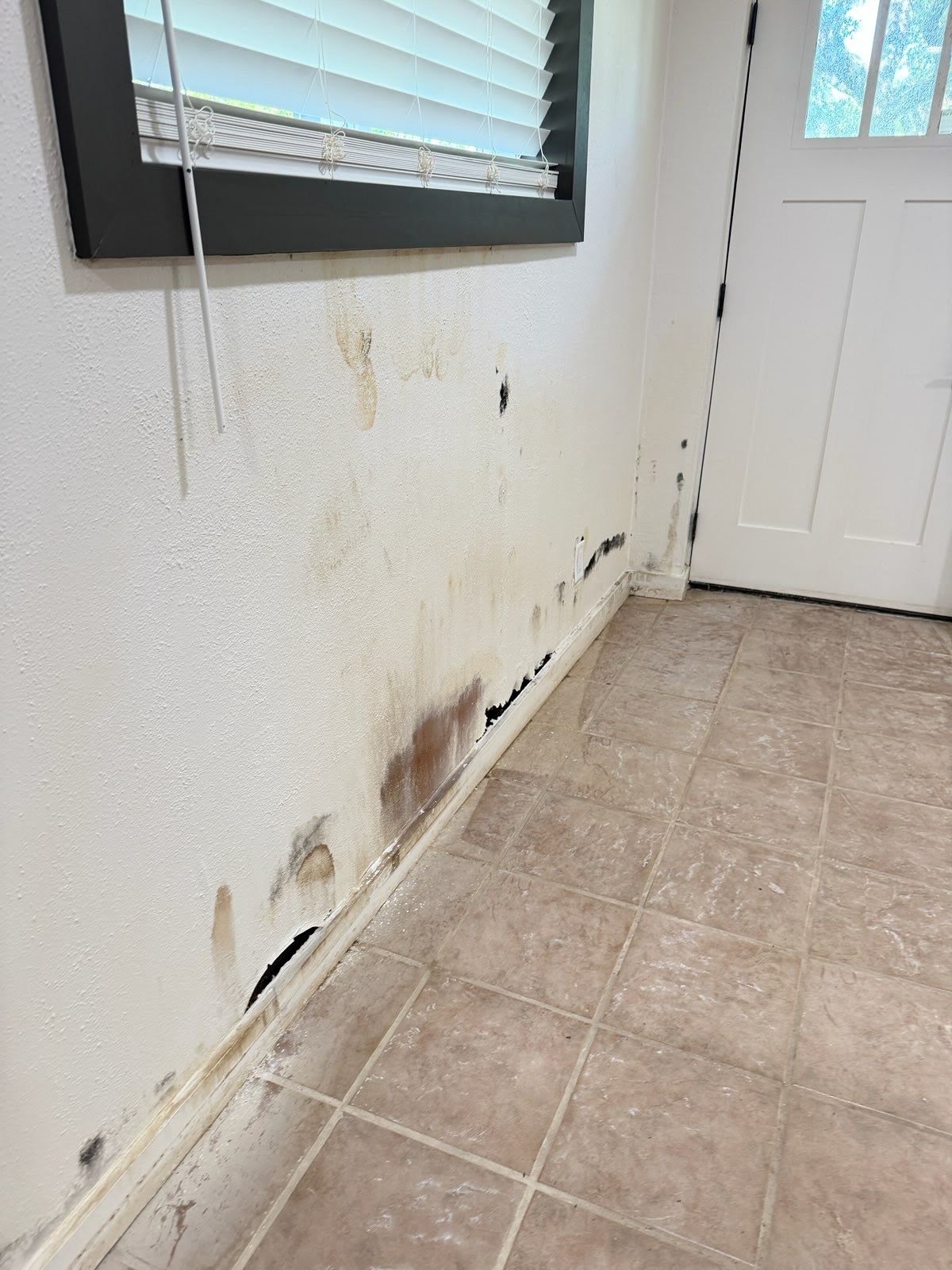 Water-damaged wall with peeling paint, stains, and mold near a tiled floor and window.