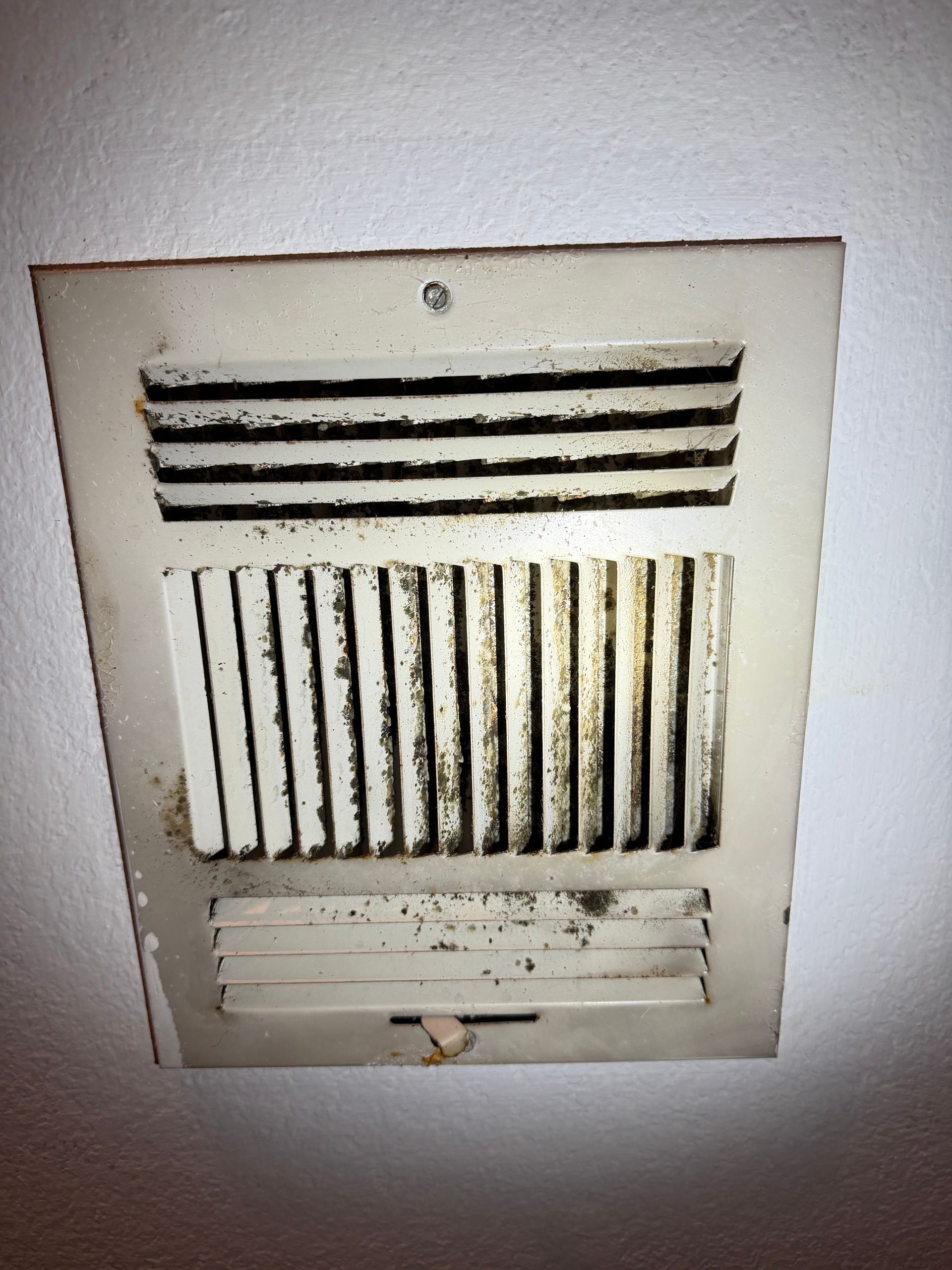 Ceiling air vent grille with horizontal slats, painted off-white and slightly stained.