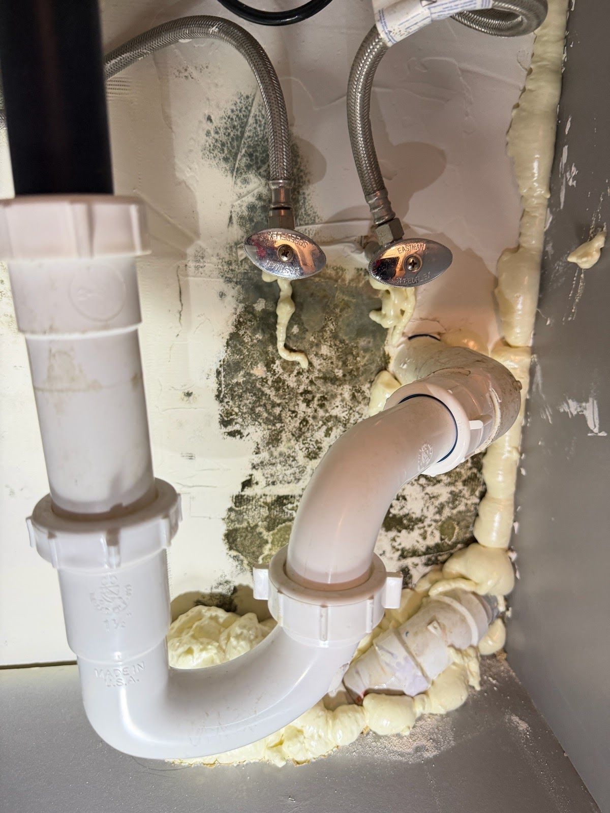 Under-sink plumbing with white pipes and visible mold or water damage on the cabinet wall