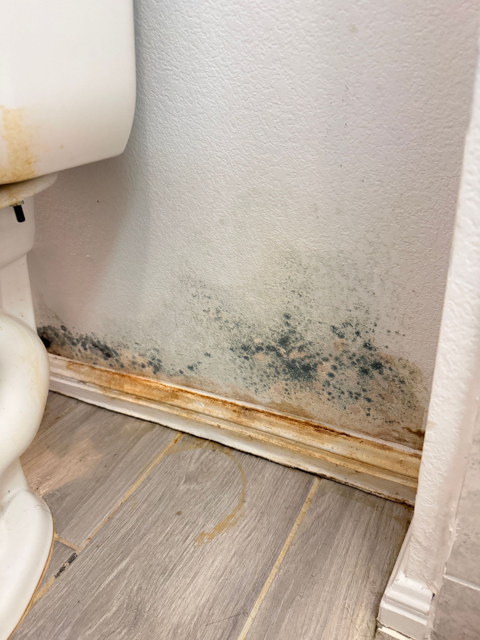 Mold and water damage on bathroom wall near toilet and baseboard.