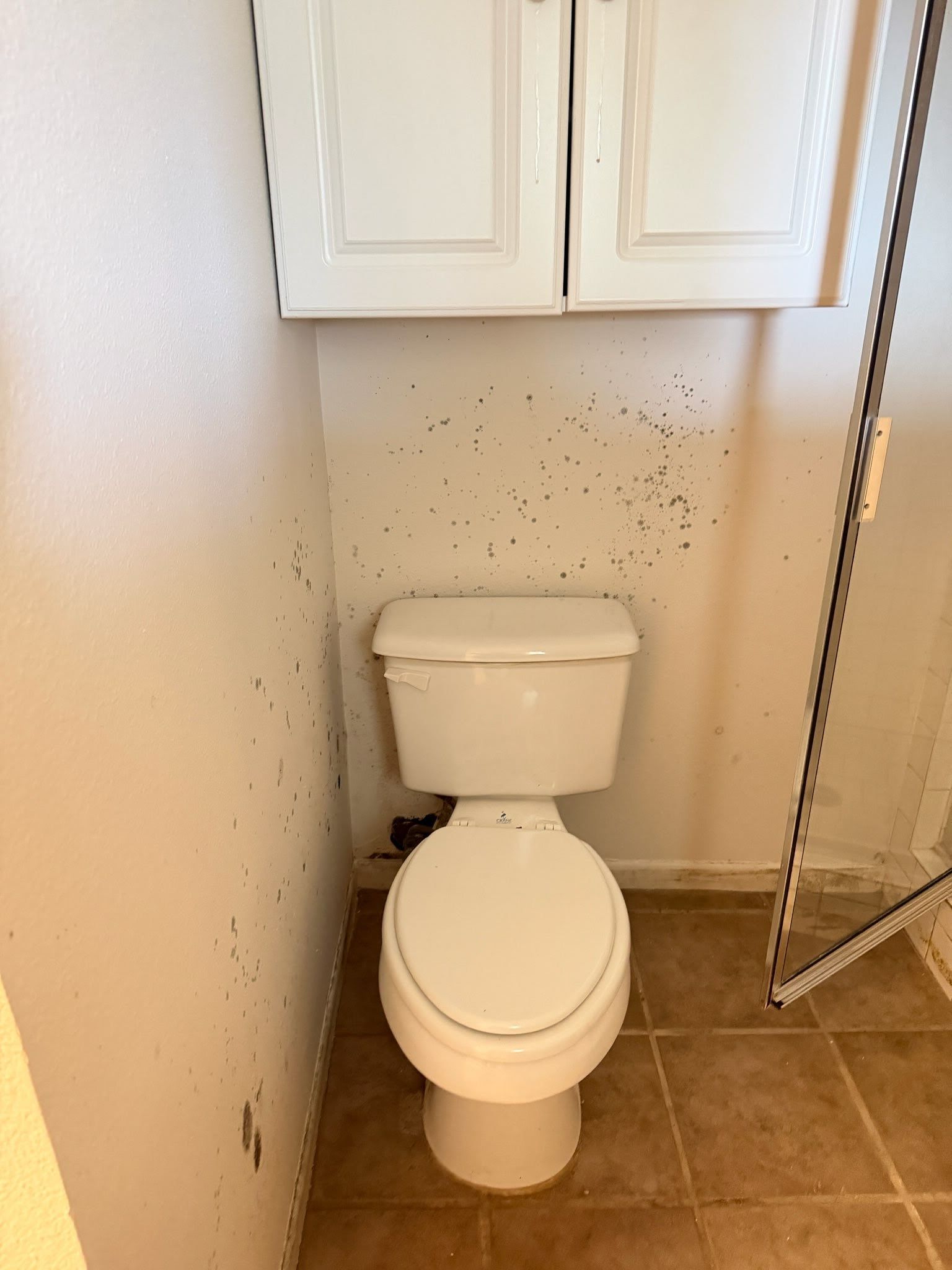 Small bathroom with a white toilet beneath wall cabinets and a partially visible shower curtain.