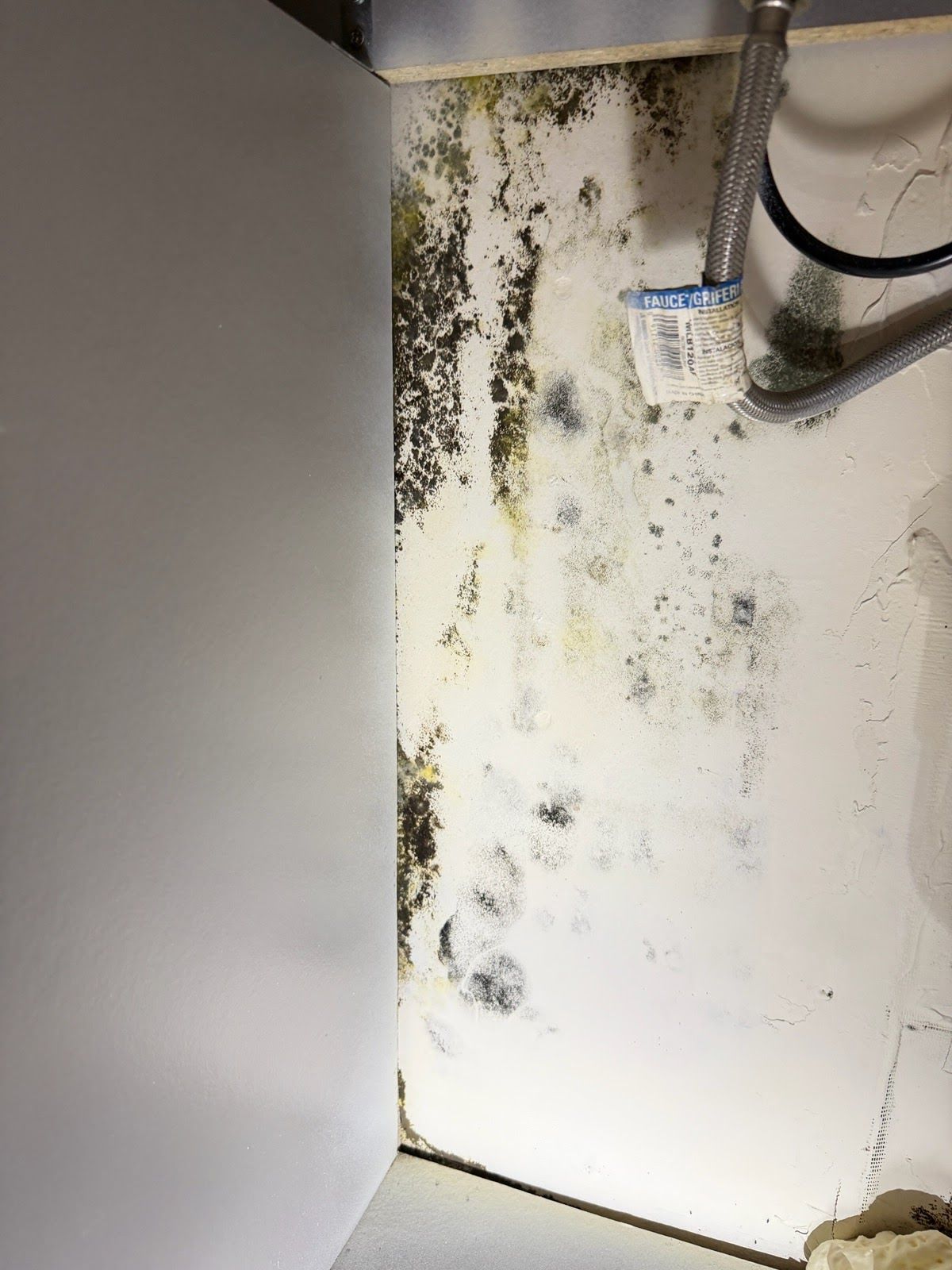 Mold growth on a white wall or cabinet corner near exposed pipes and a cable, with dark stains and discoloration