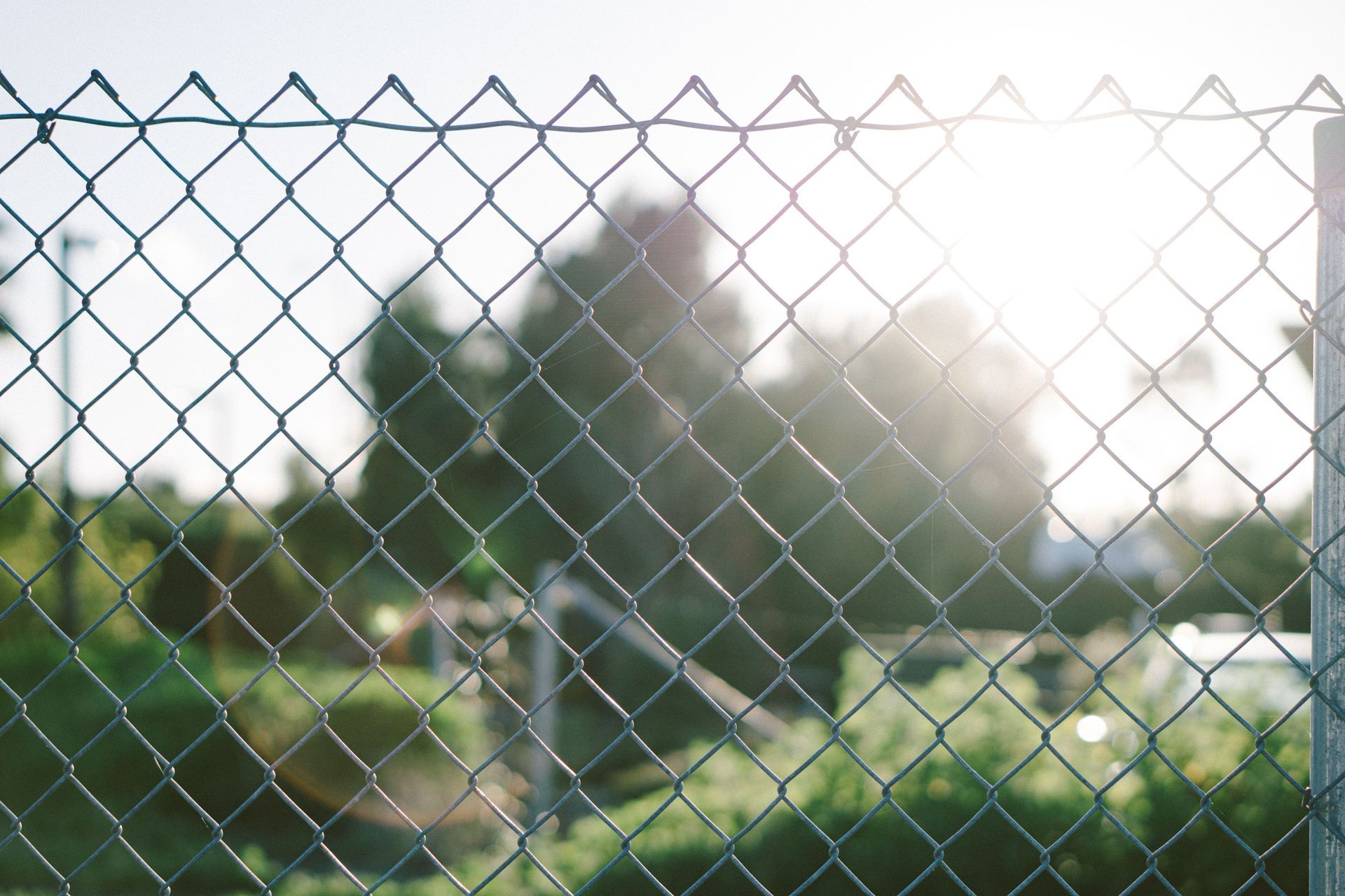 Sunlit chain-link fence with blurred green trees and garden behind it