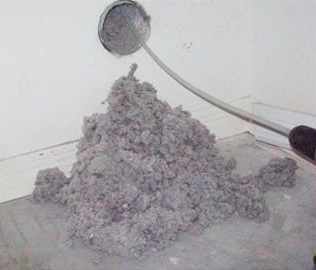 dryer lint