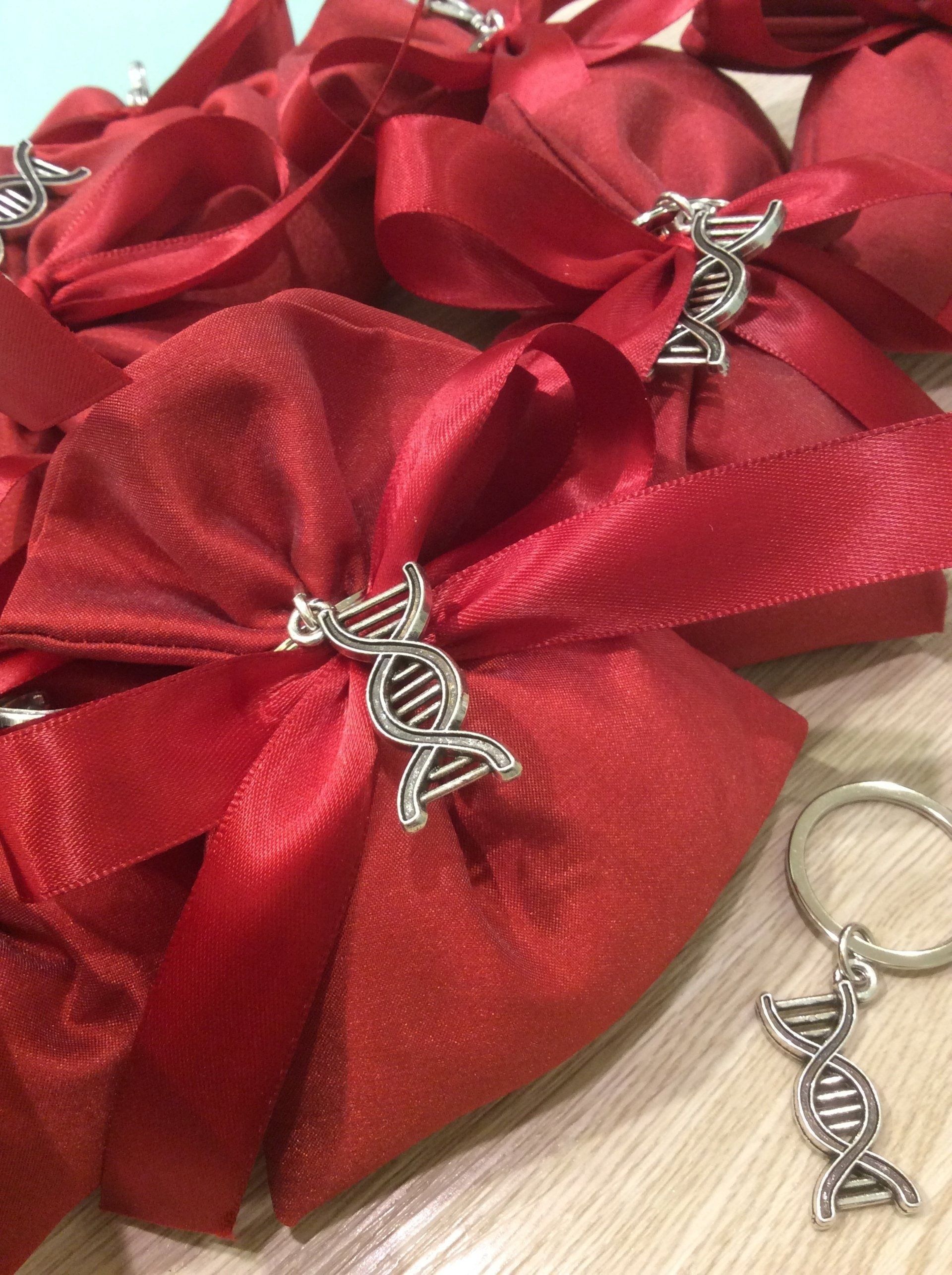 Sacchetti regalo in raso rosso con ciondoli a forma di DNA in argento su una base di legno.