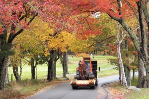 A tractor is driving down a road with trees on both sides.
