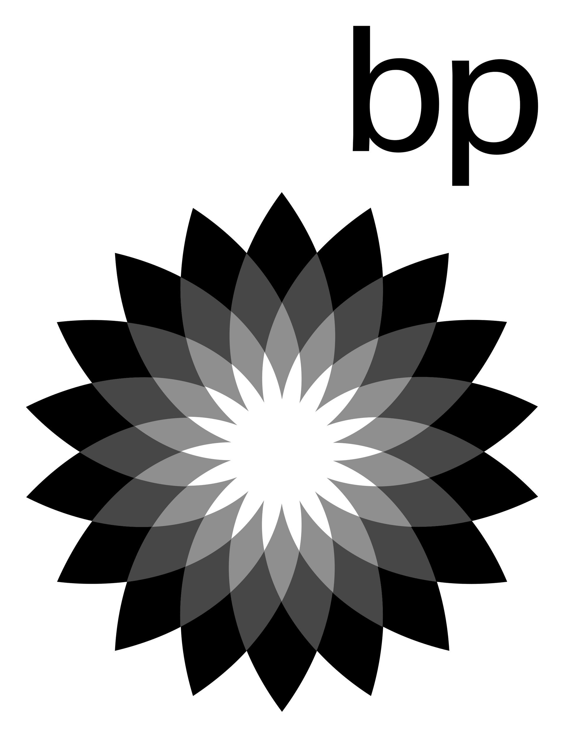 The BP logo featuring a stylized, multi-layered sunflower or starburst shape in shades of grey with the letters 