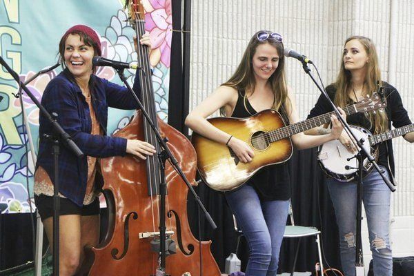 Green Living Fair finds success in Somerset sustainable for sixth year