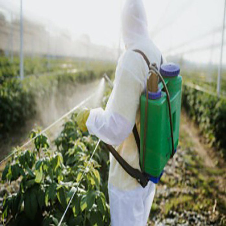 GTM GUATEMALA COMERCIO DE PRODUCTOS S.A.