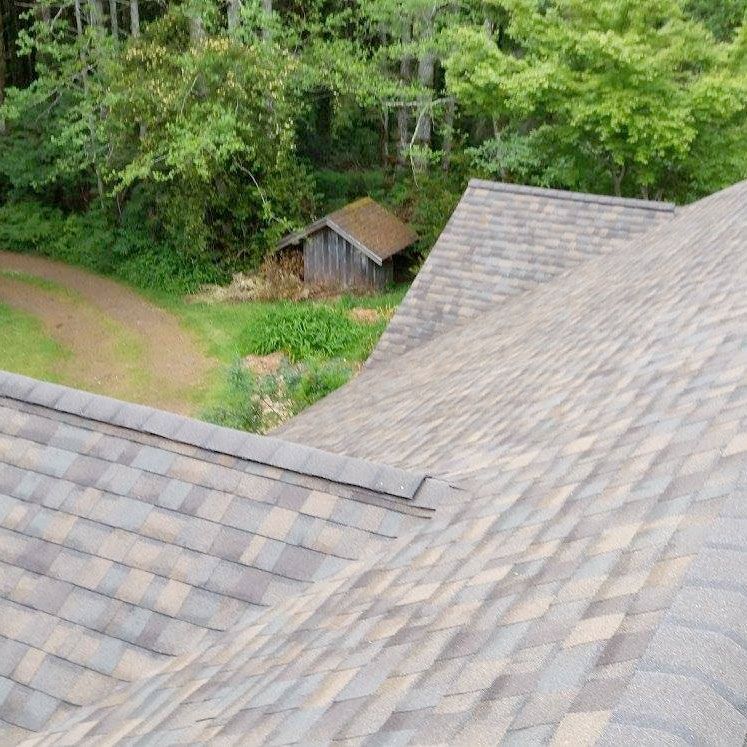 View from a gray shingled roof over a green wooded yard with a small shed and dirt path below