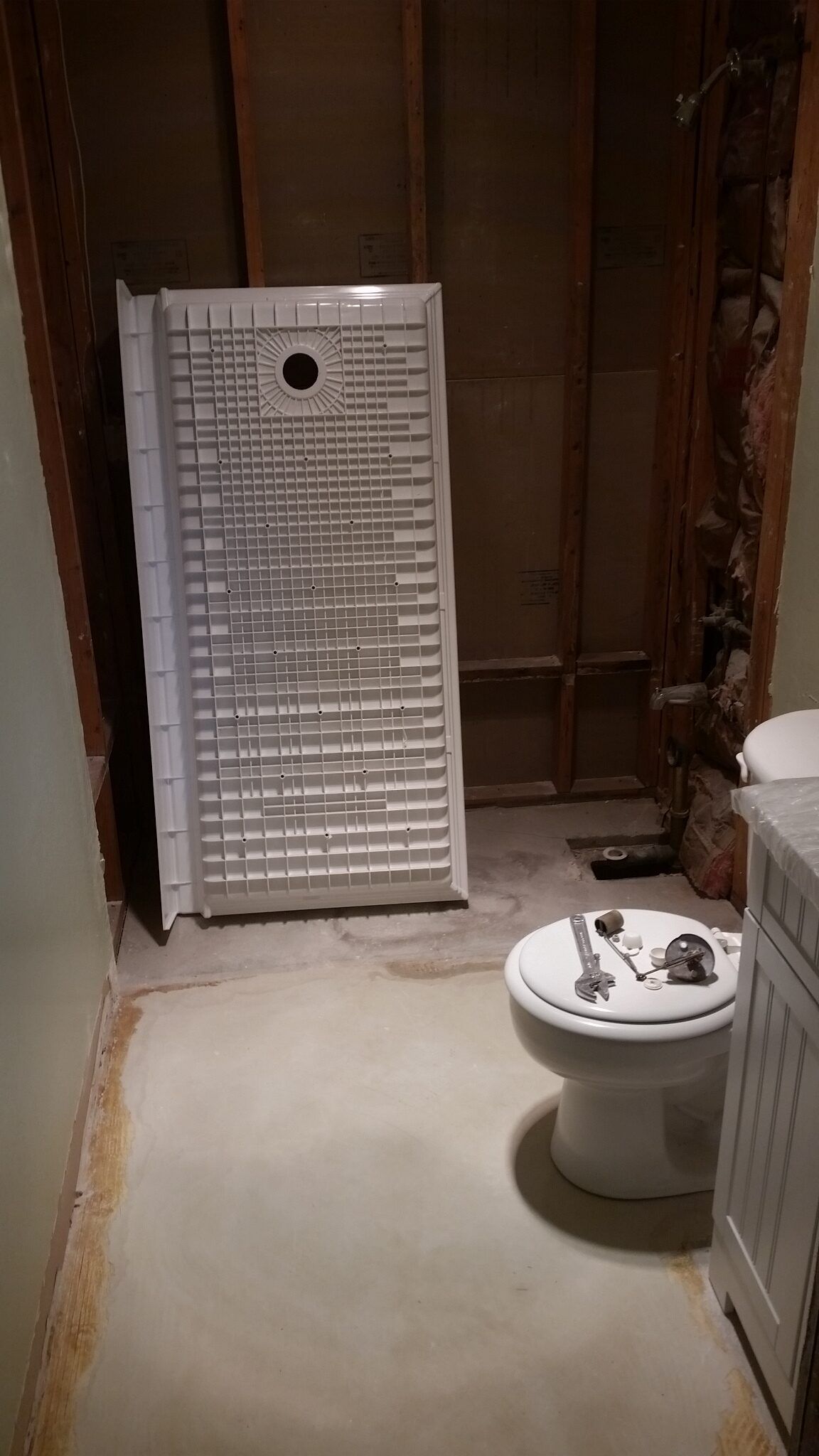 Bathroom with unfinished walls, a white radiator, and a toilet in the foreground.