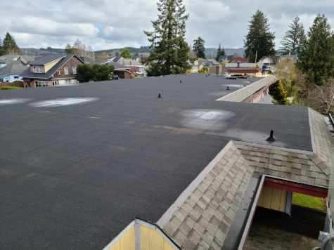 Flat black rooftop with vents, overlooking a suburban neighborhood and trees under cloudy skies