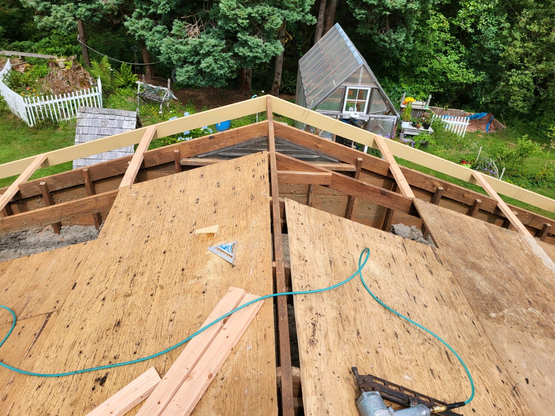 Roof sheathing under construction with wooden framing, green cord, and a backyard garden below