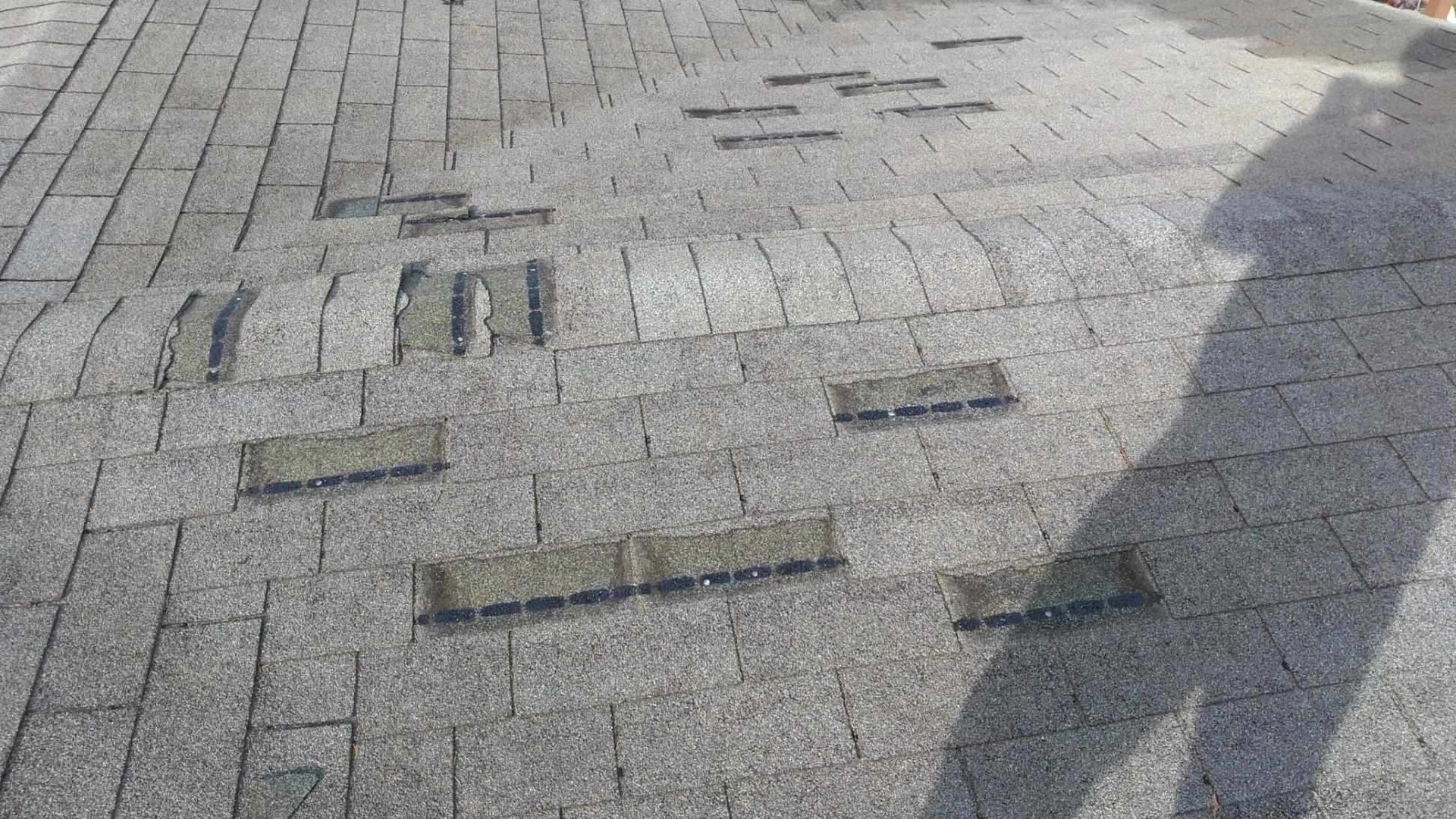 Paved brick walkway with raised rectangular markers and a person’s shadow in sunlight