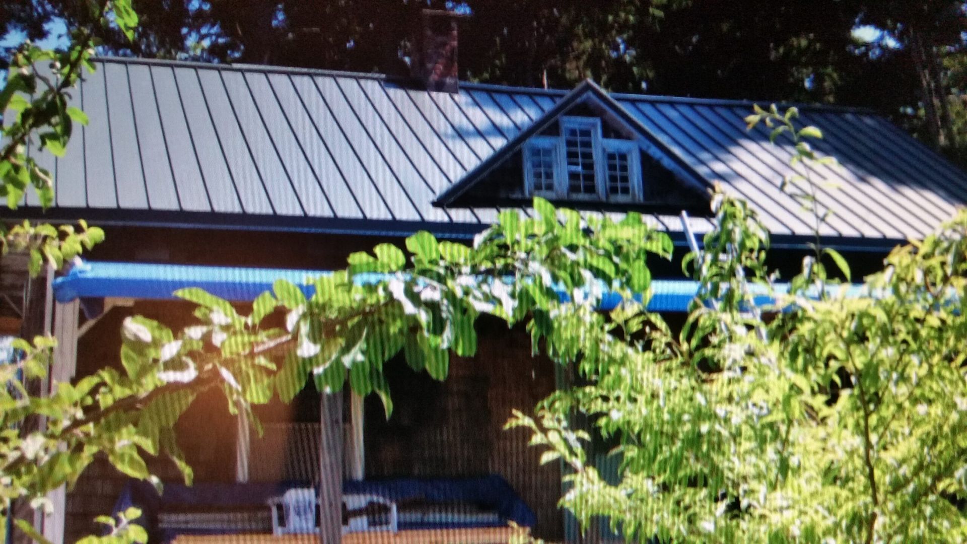 Small house with a gray metal roof, blue trim, and leafy trees in front under bright sunlight