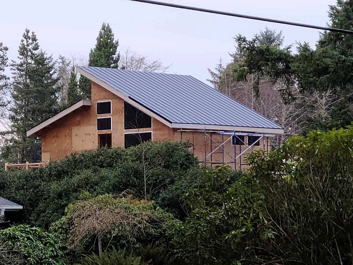 Wood-sided house with blue metal roof behind dense green bushes and trees