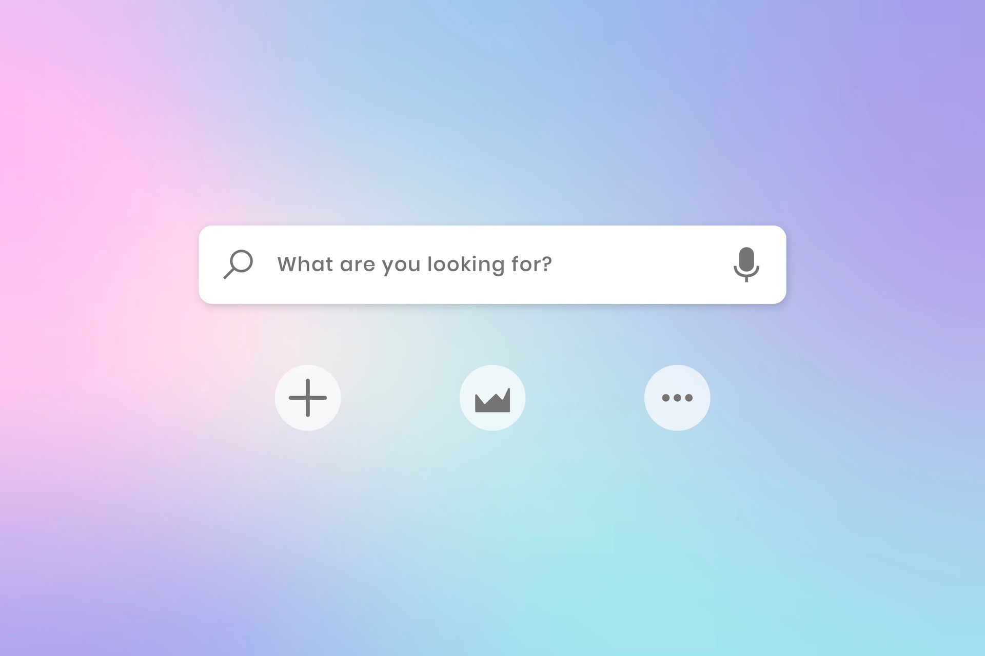 Search bar that says, 