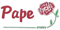 Pape Air Conditioning & Heating Logo