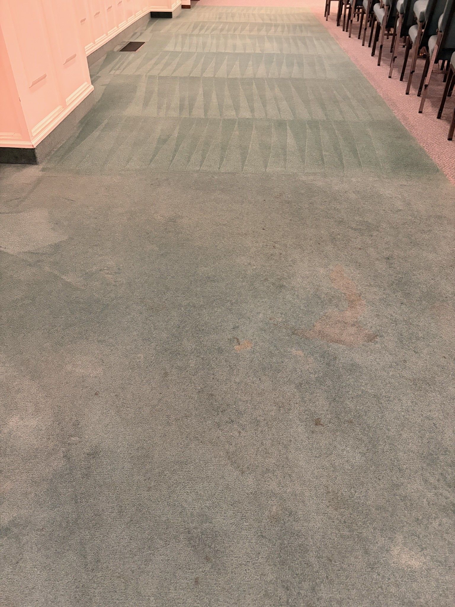 Empty carpeted hallway with pink walls and chairs lined along the right side.