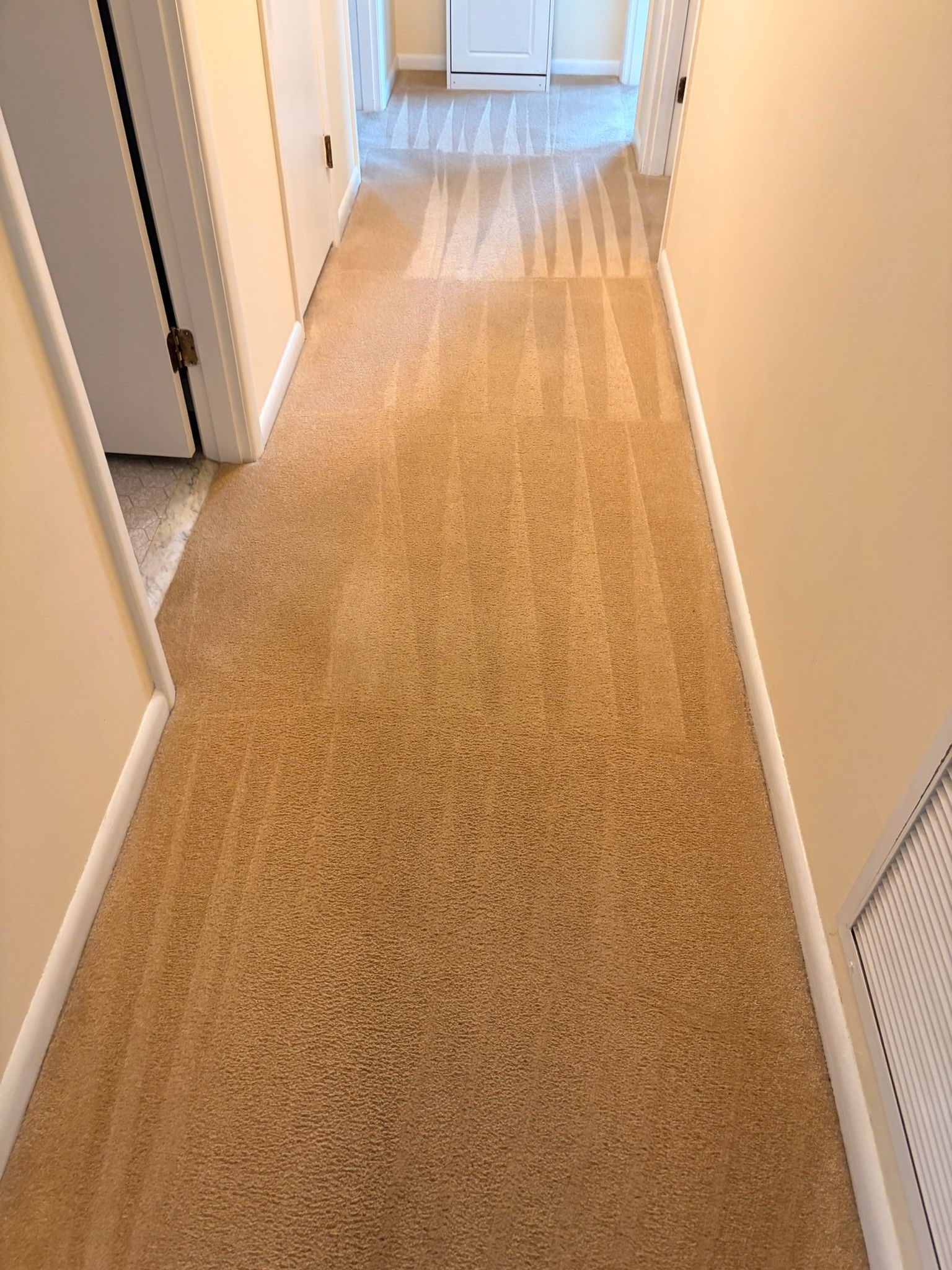 Narrow beige-carpeted hallway with white walls and doors, lit by daylight at the far end