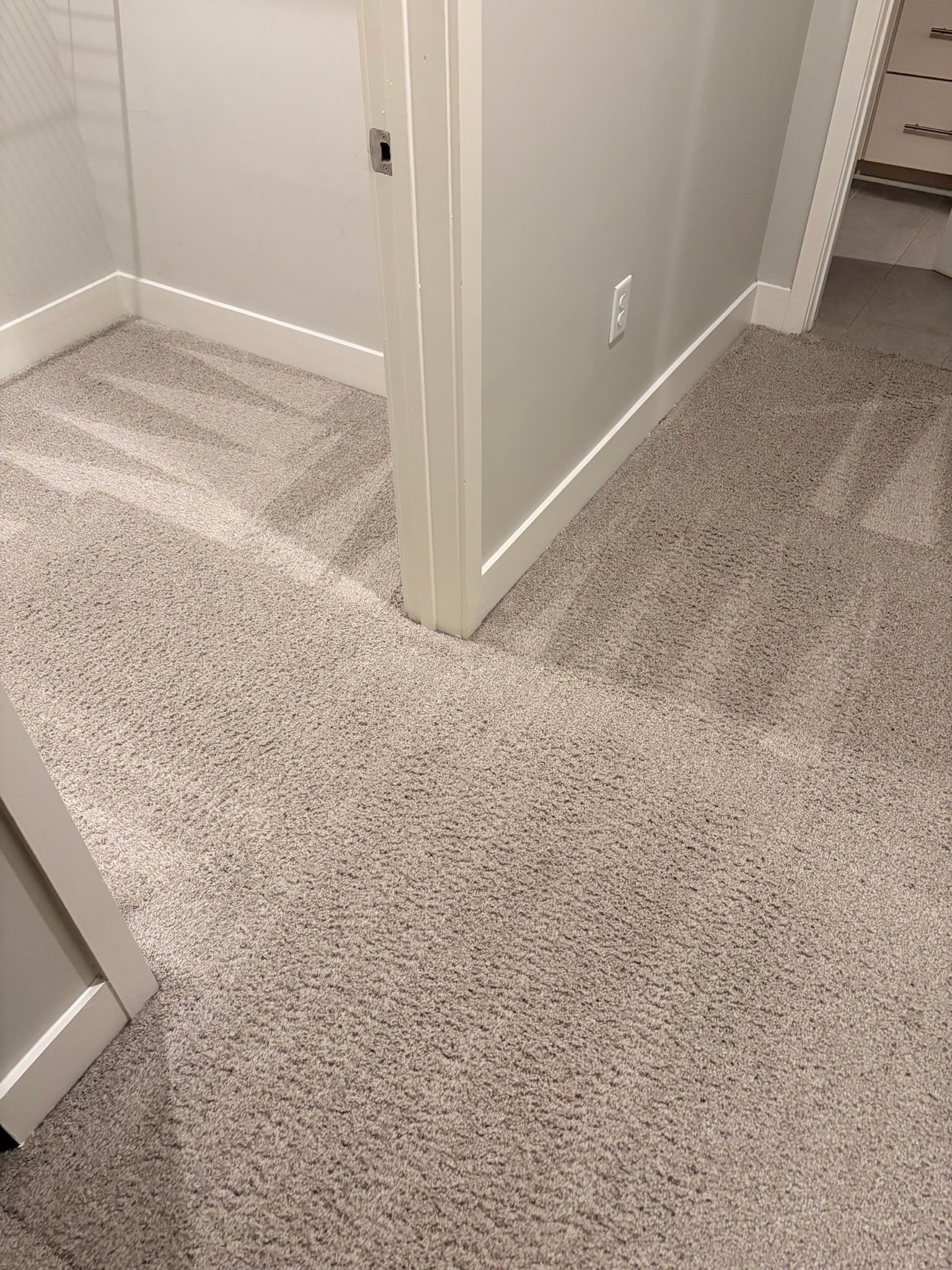 Carpeted hallway with light gray walls and white doors in a home interior.
