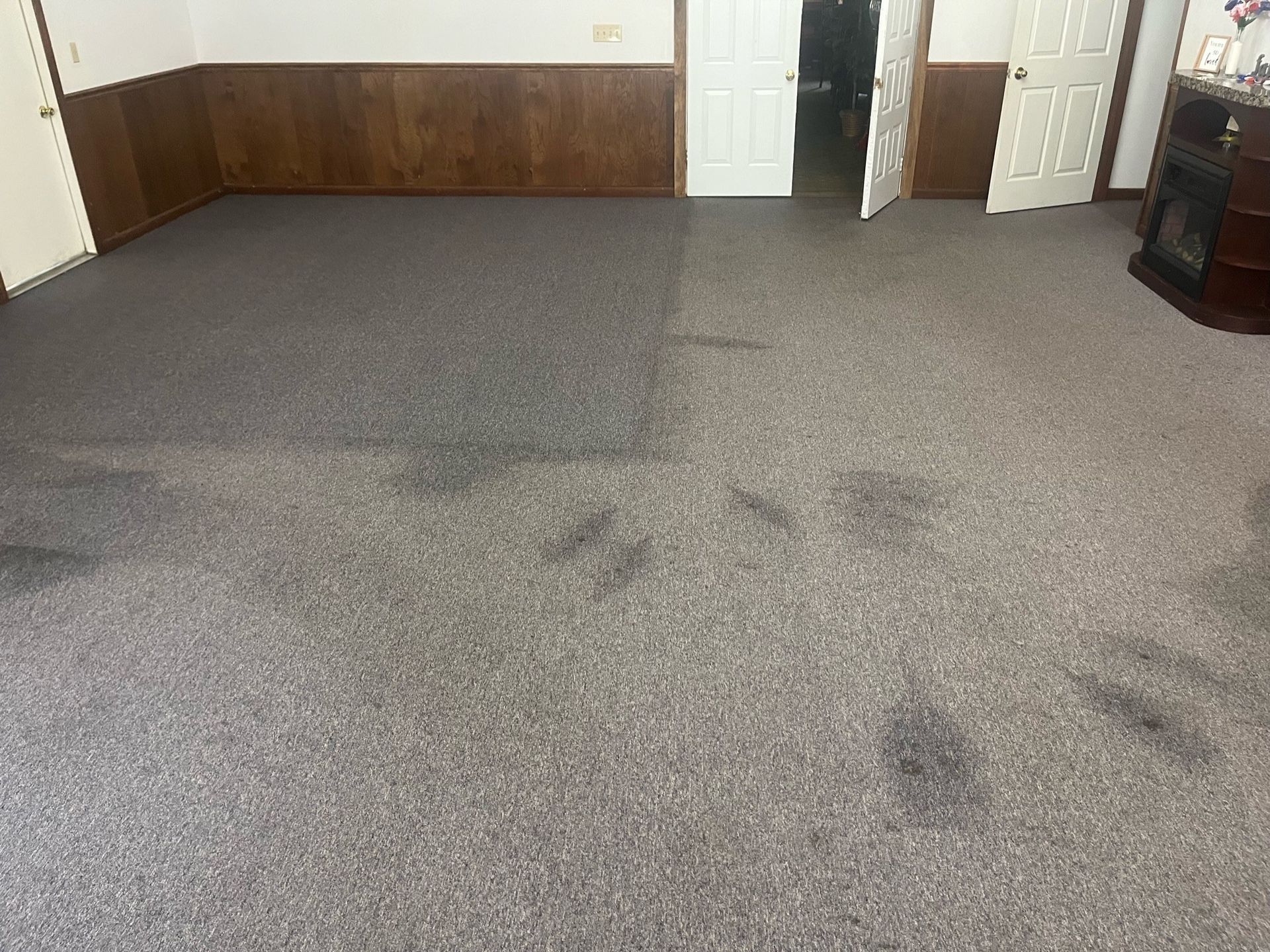 Empty carpeted room with dark floor stains, white doors, and wood-paneled walls