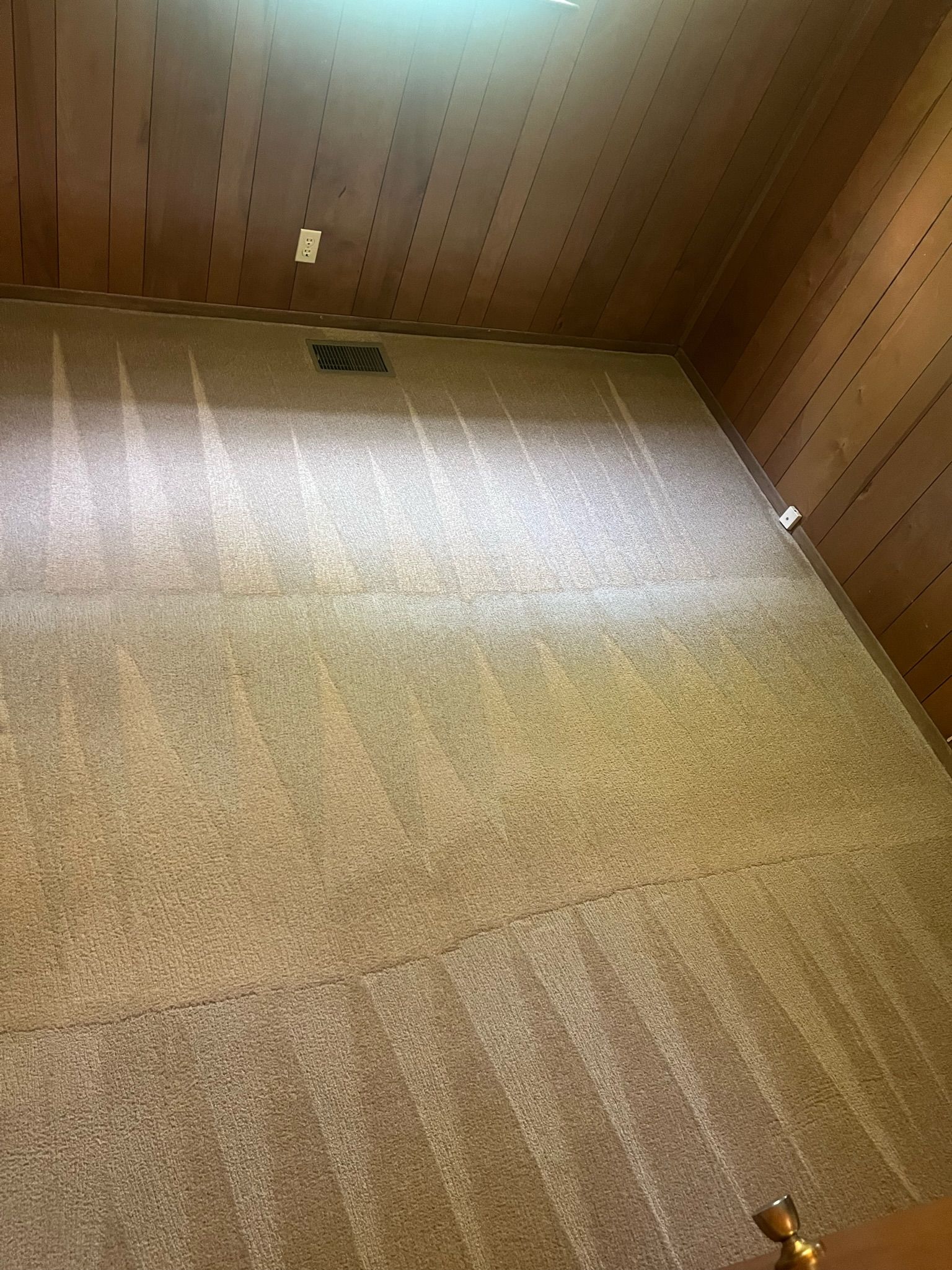 Empty carpeted room with wood-paneled walls and ceiling, viewed from a low corner angle.