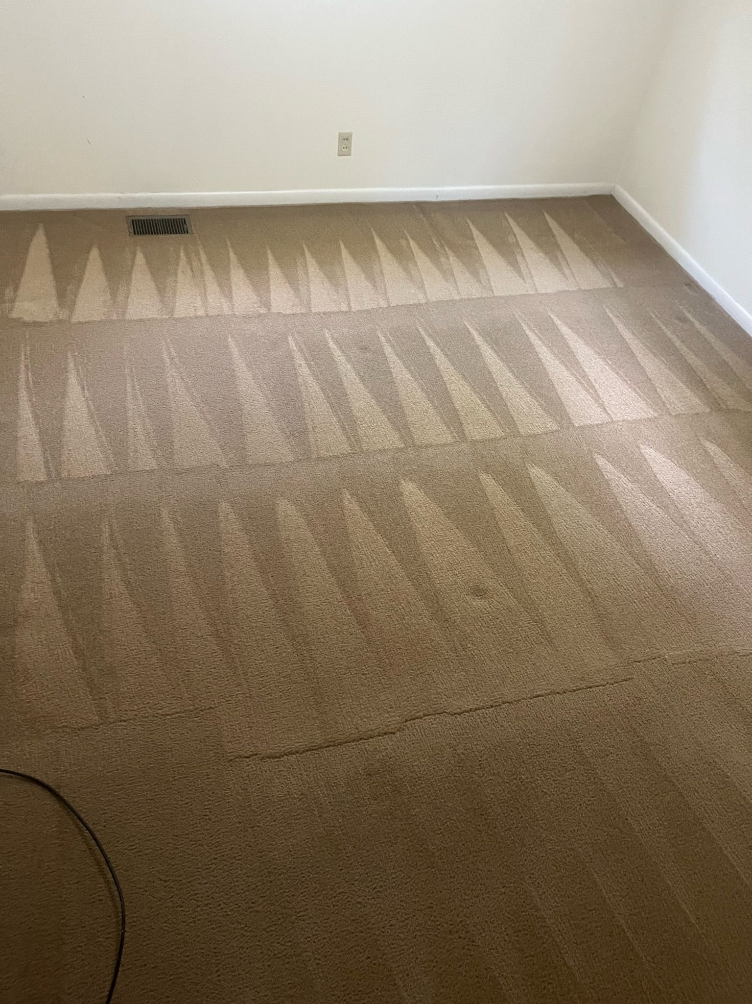 Carpeted empty room with a sunlight reflection and a row of white cones along the wall