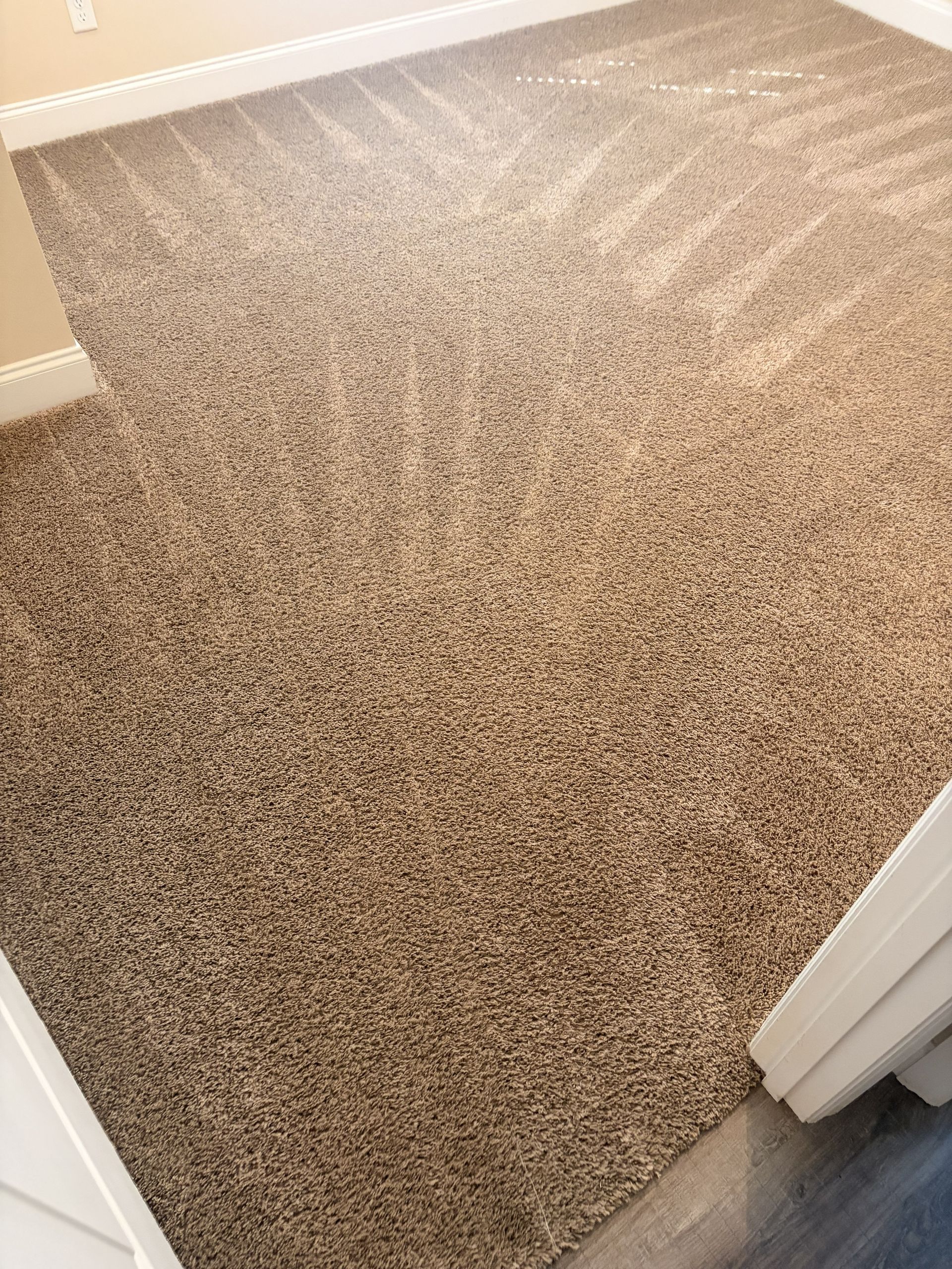 Carpeted room corner with tan speckled flooring and white door trim