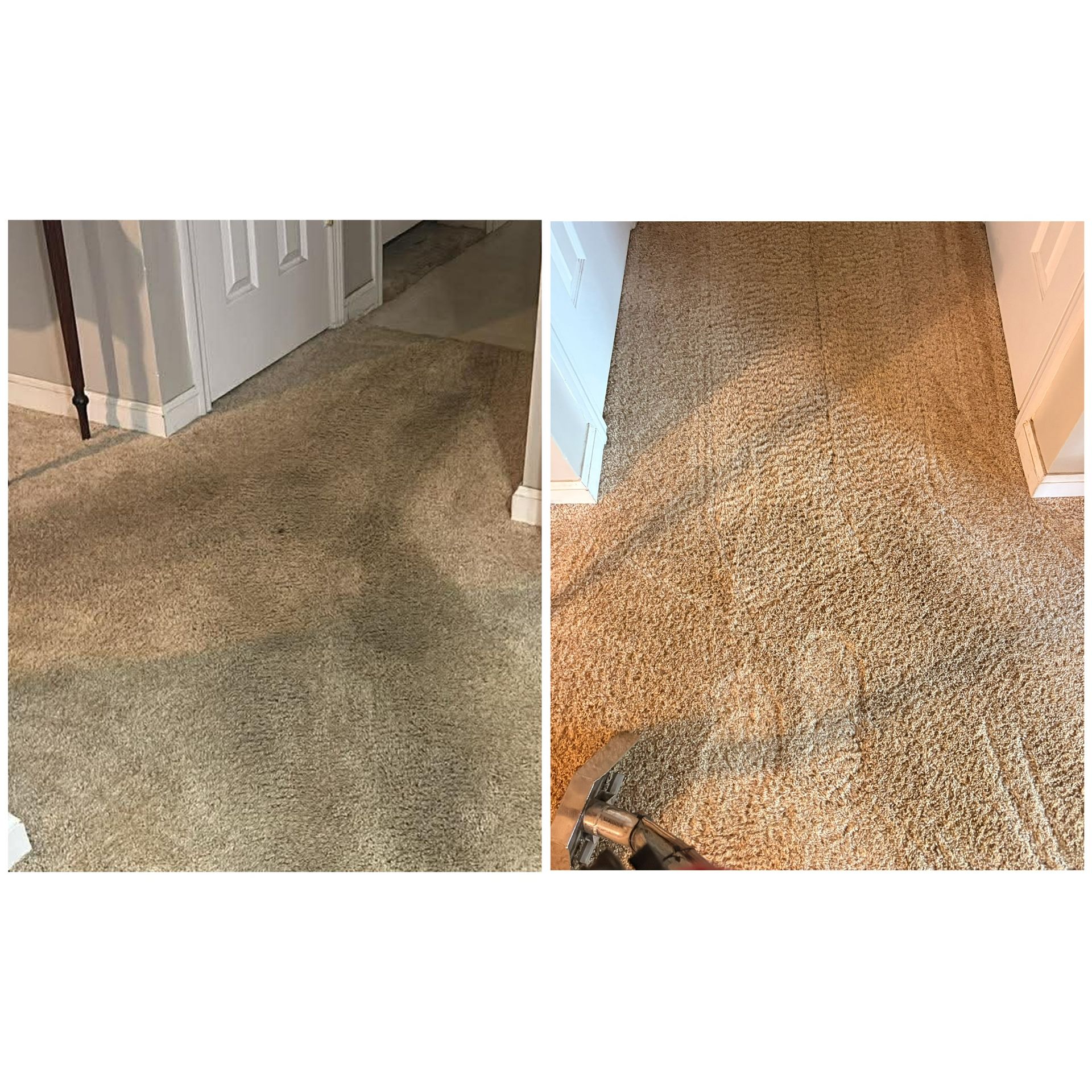 Two side-by-side carpeted hallway photos showing a worn, dirty carpet with stains and traffic marks.